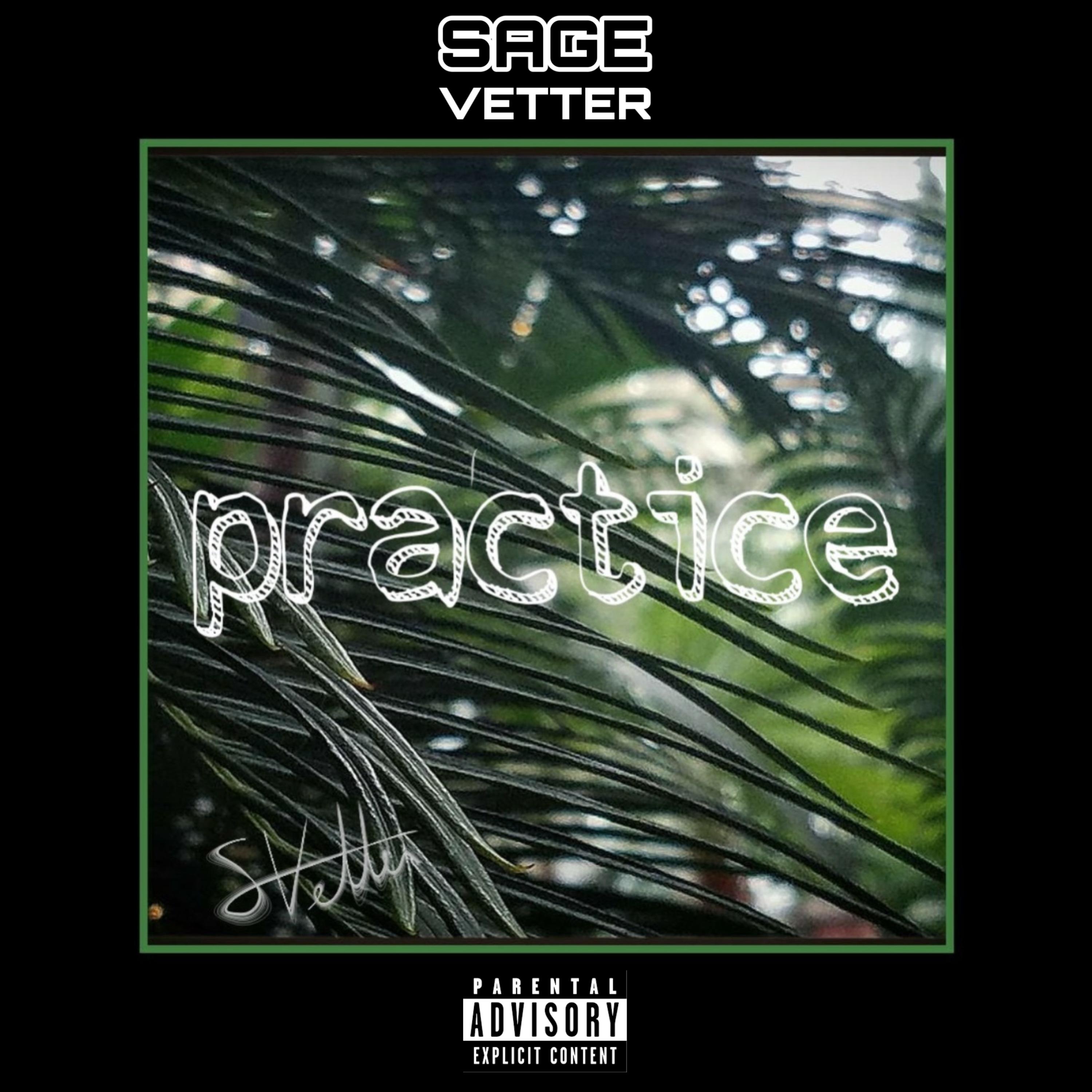 Practice by Sage Vetter cover art