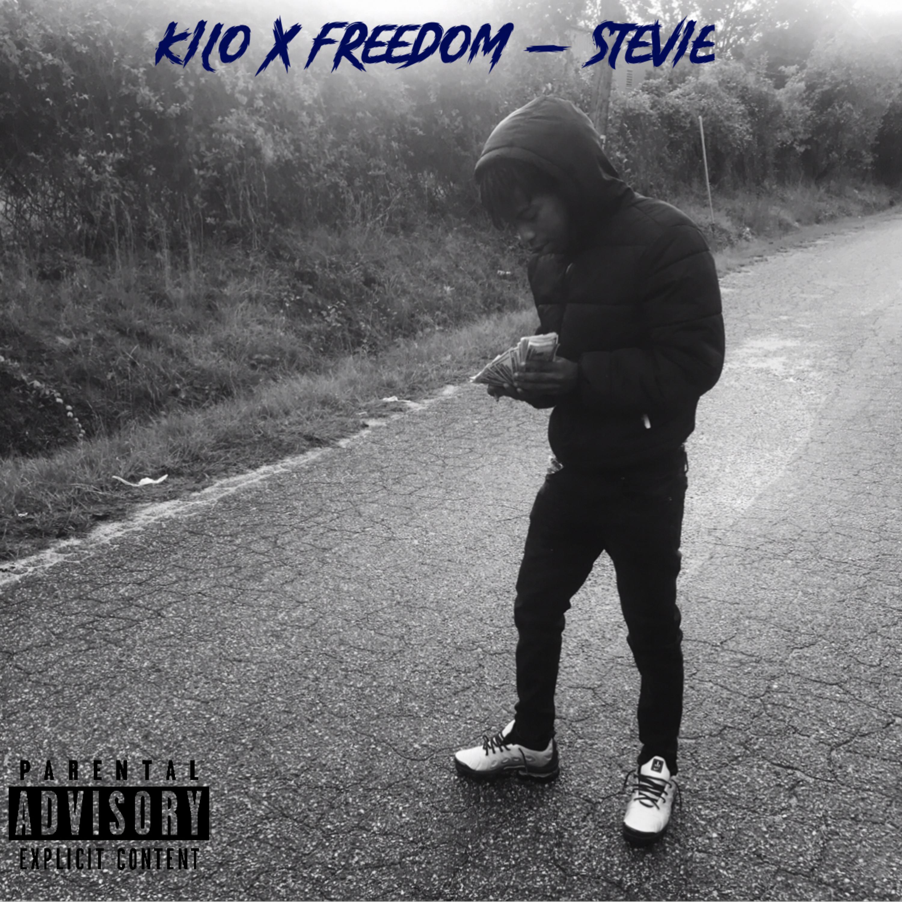 Stevie by Tsn Kilo cover art