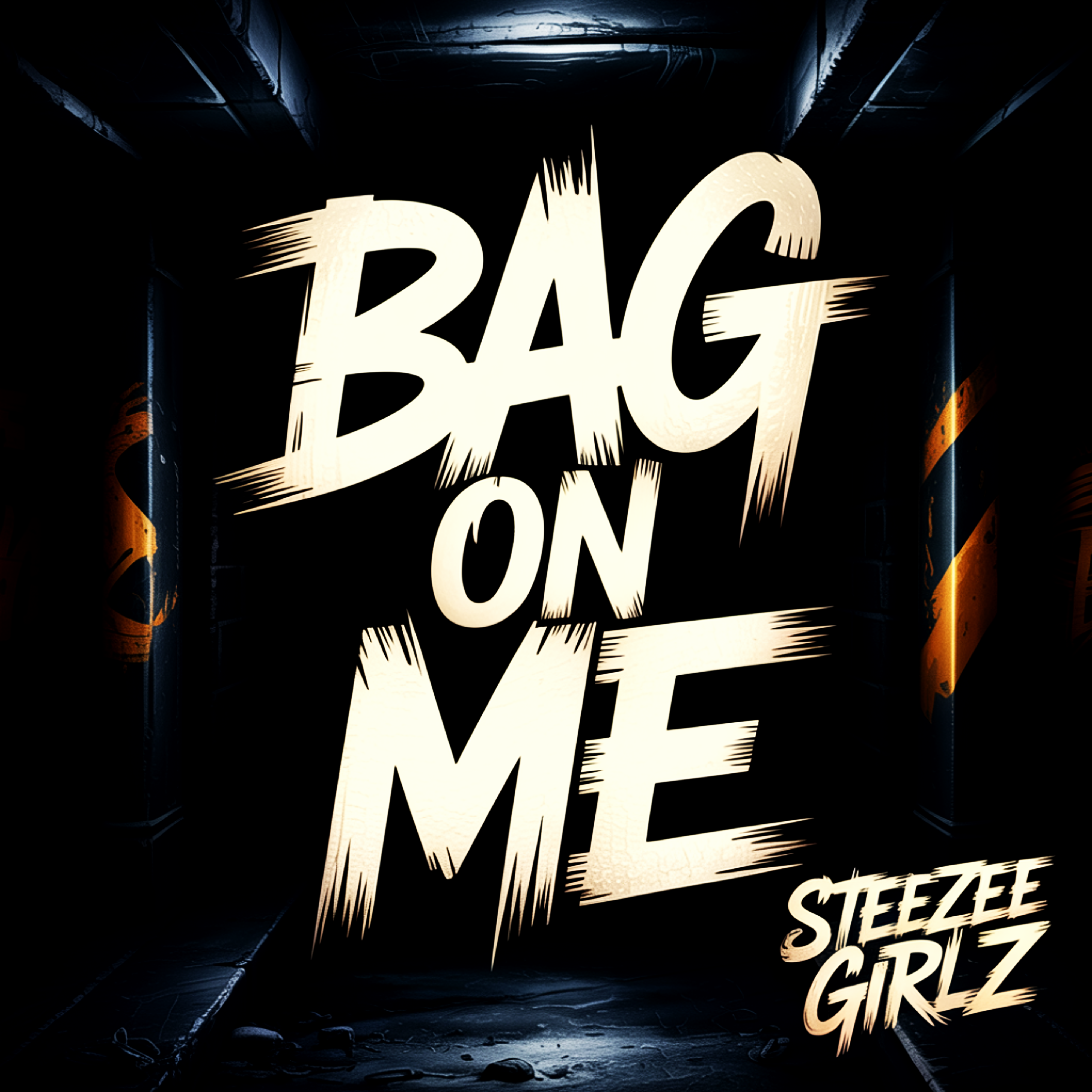 Bag On Me artwork