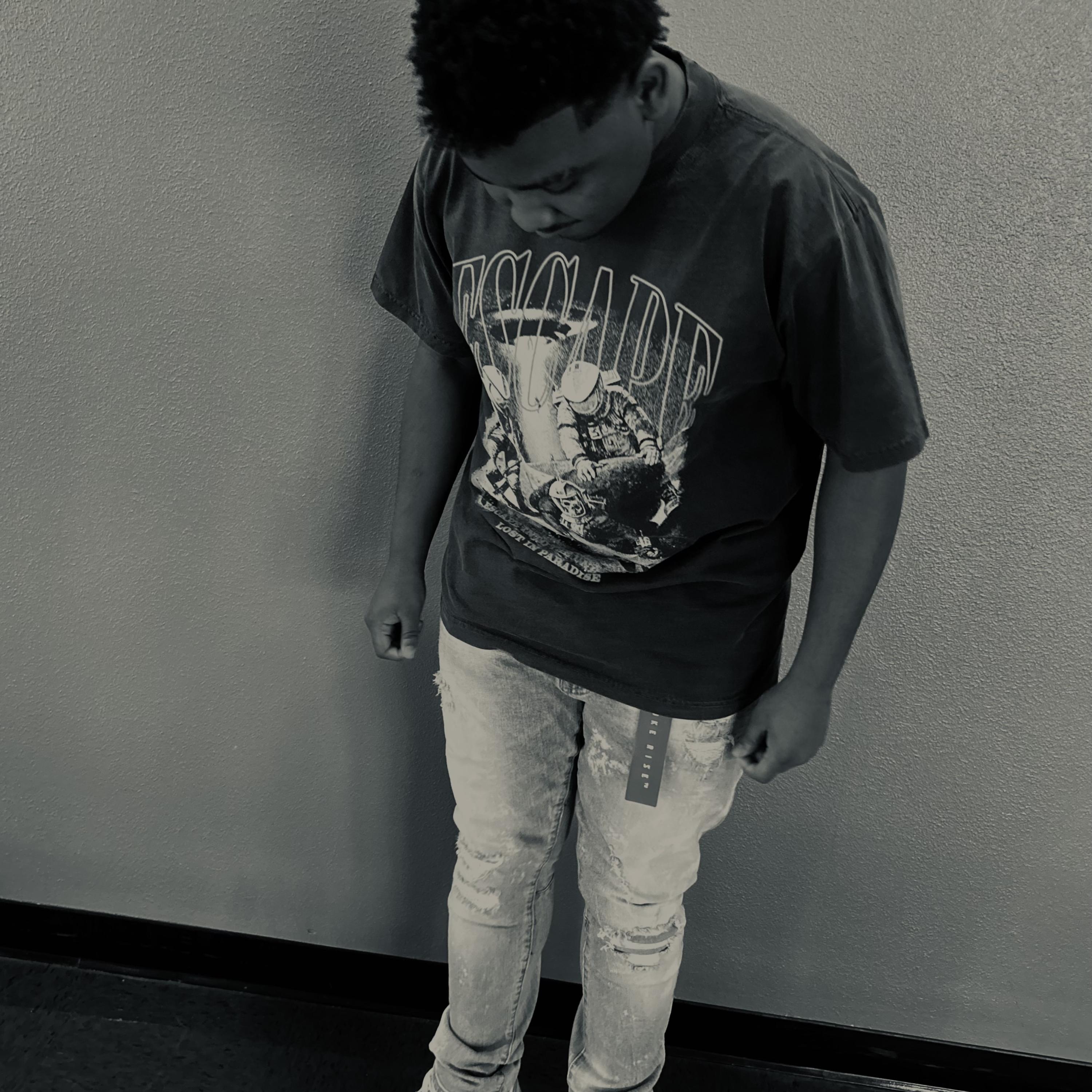 Fake Shii I See artwork