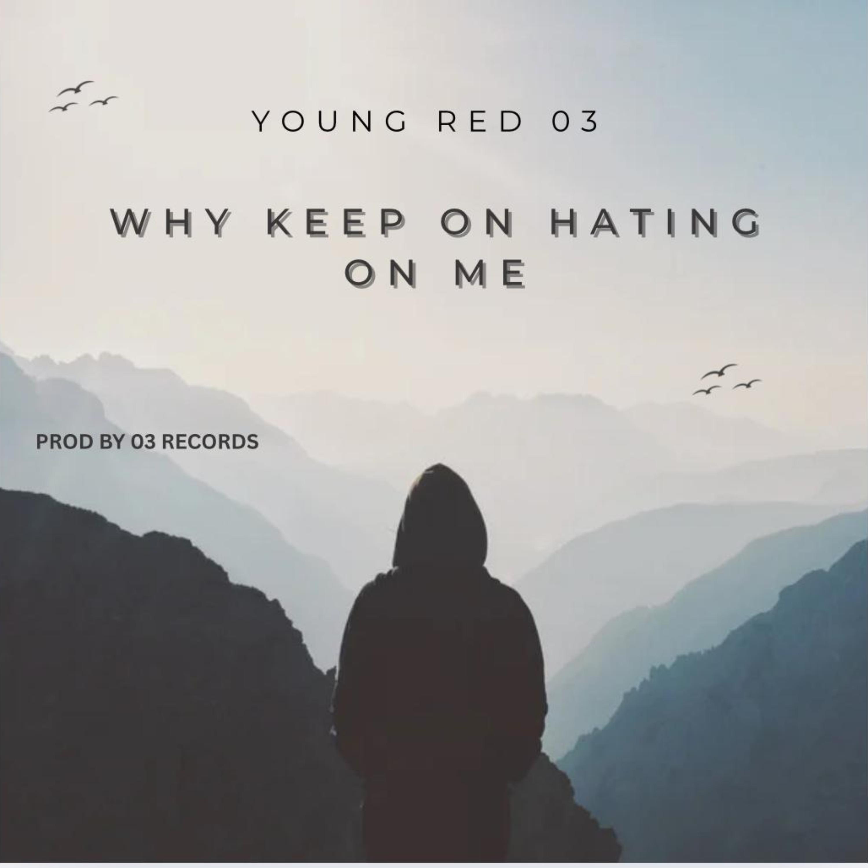 why keep on hating on me artwork