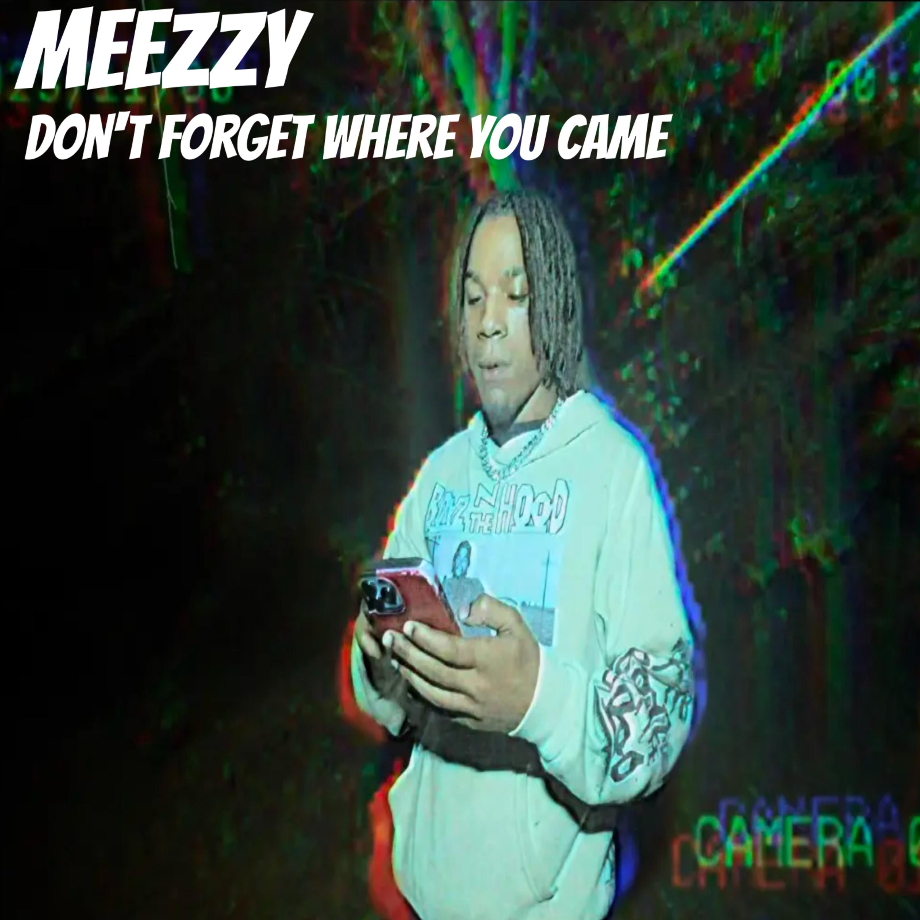 Don’t Forget Where You Came artwork