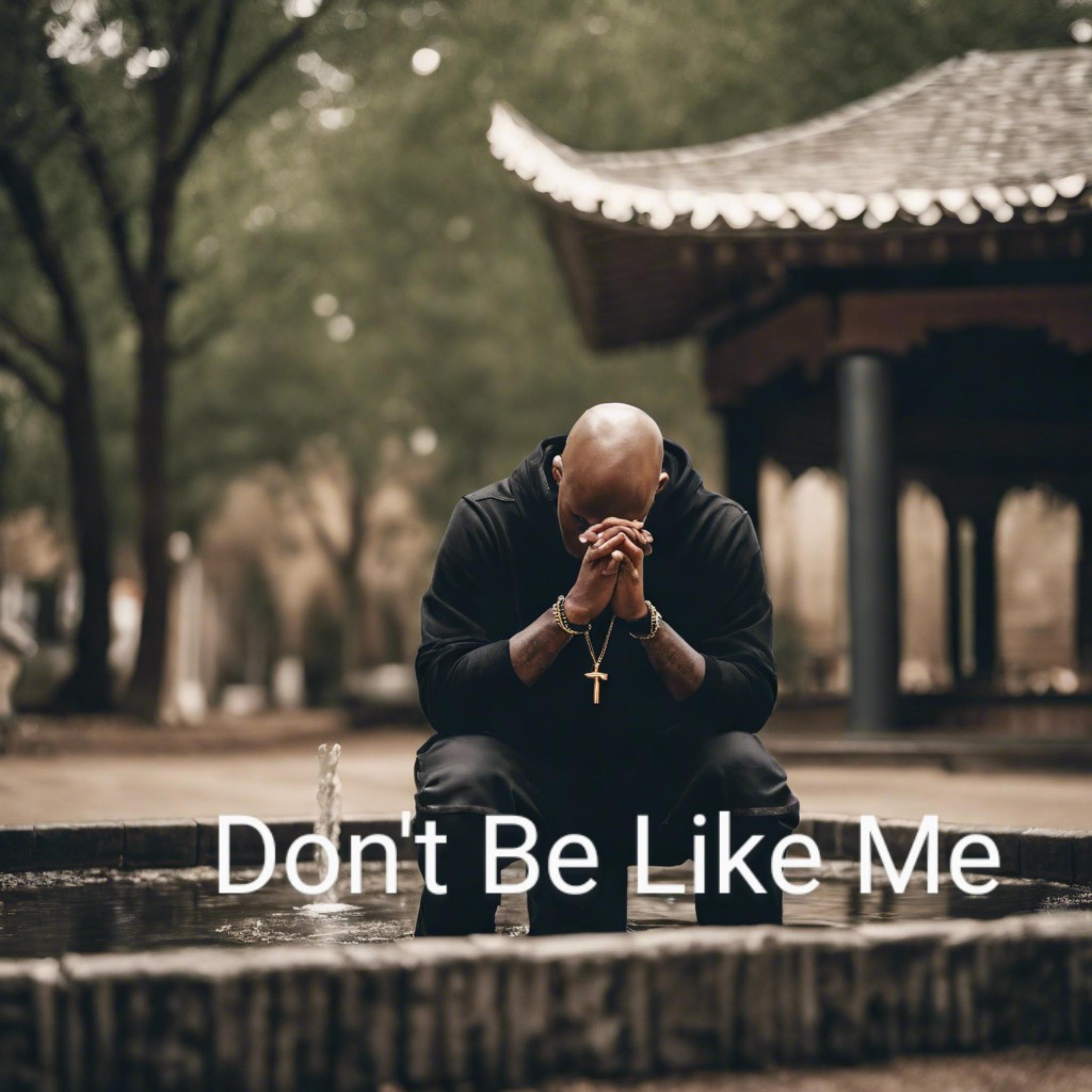 Don't Be Like Me artwork