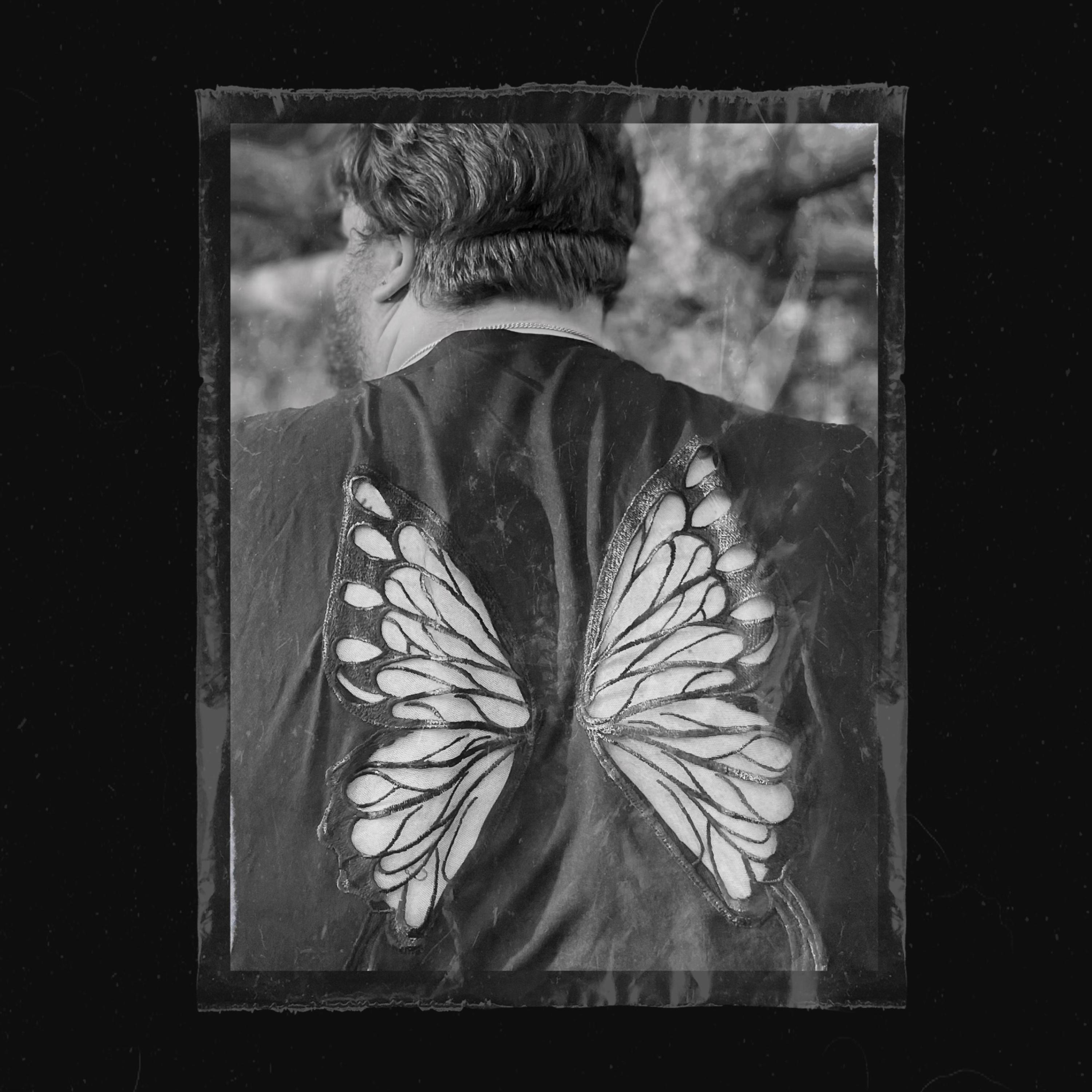 Butterfly Effect artwork