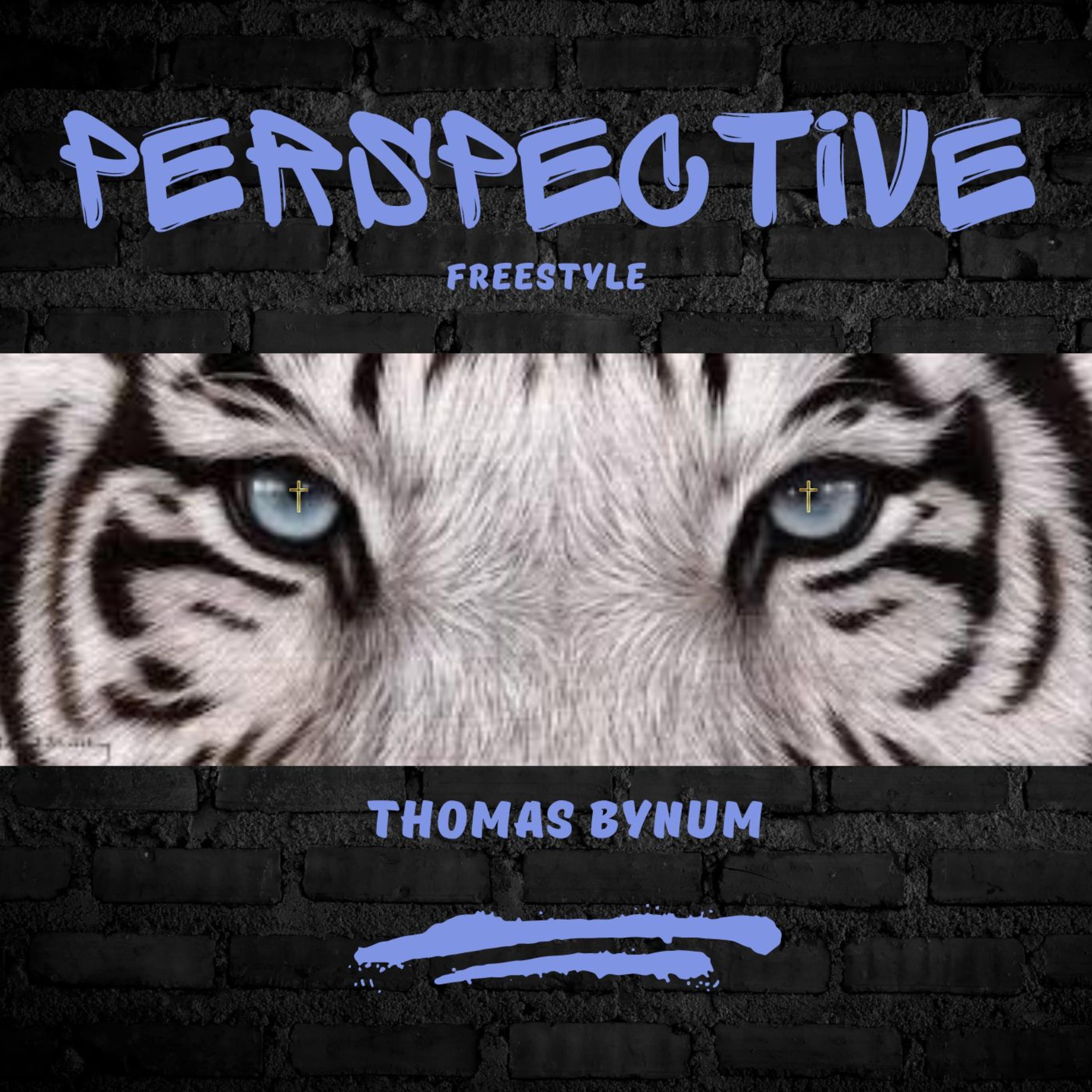 Perspective (Freestyle) artwork