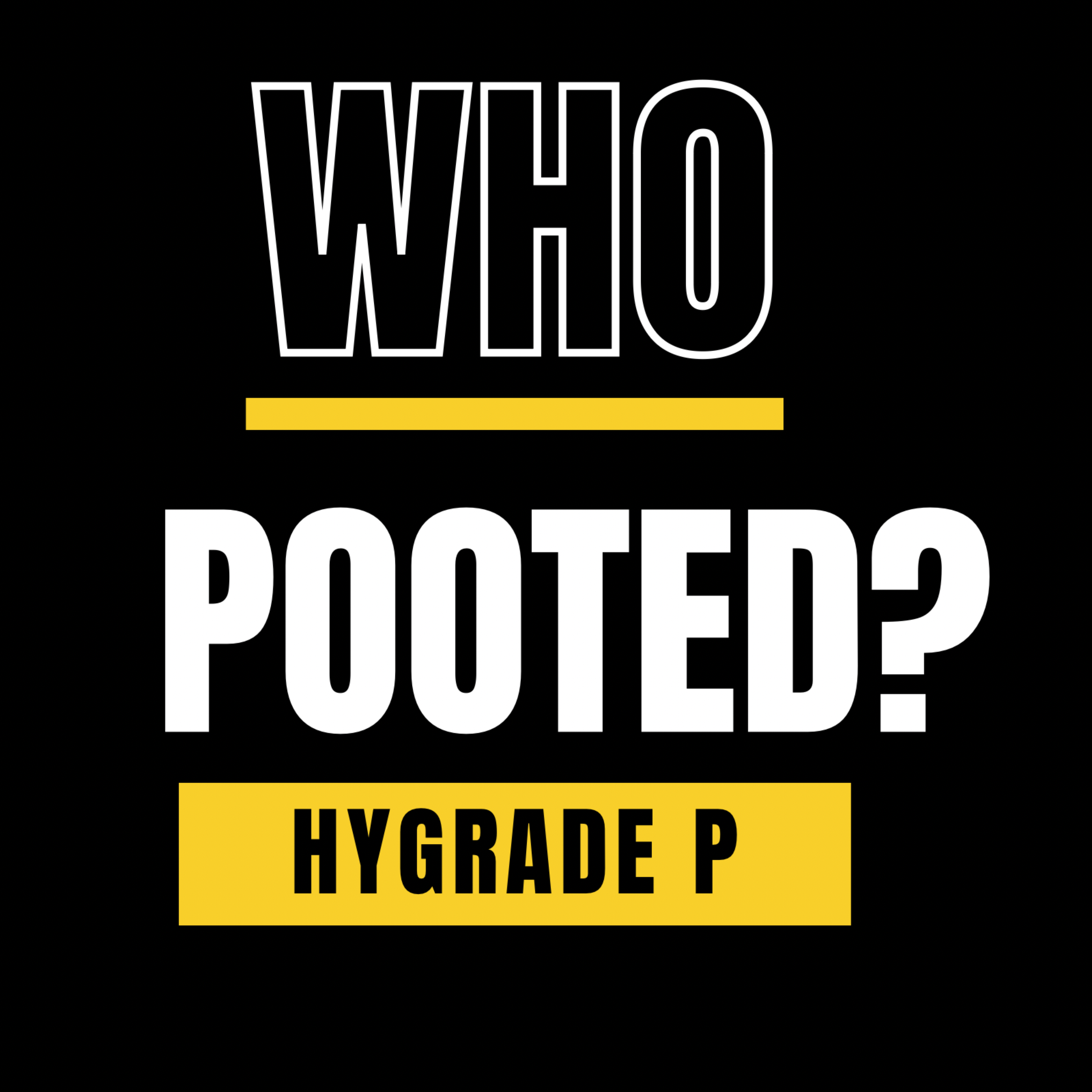 Who Pooted artwork
