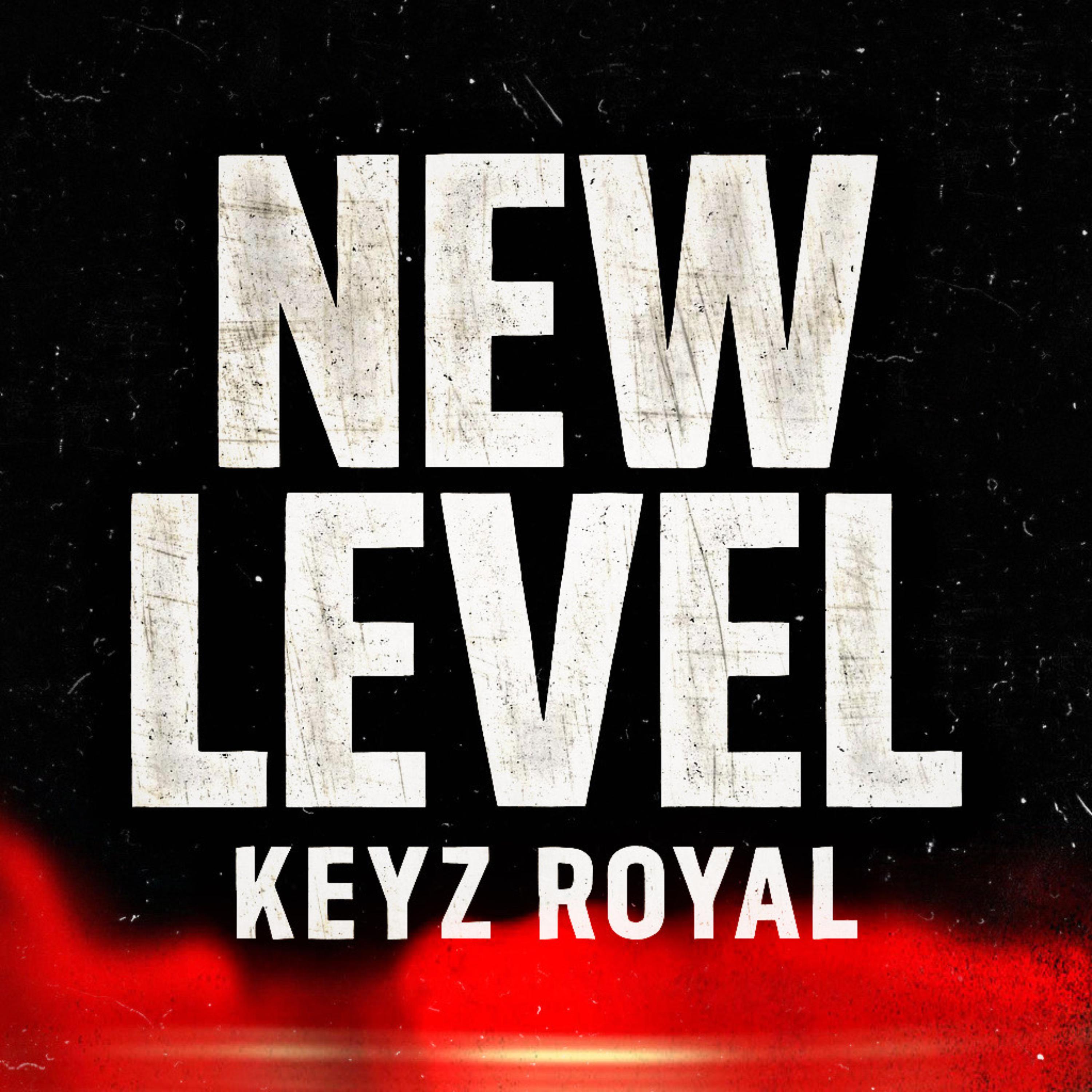 NEW LEVEL artwork