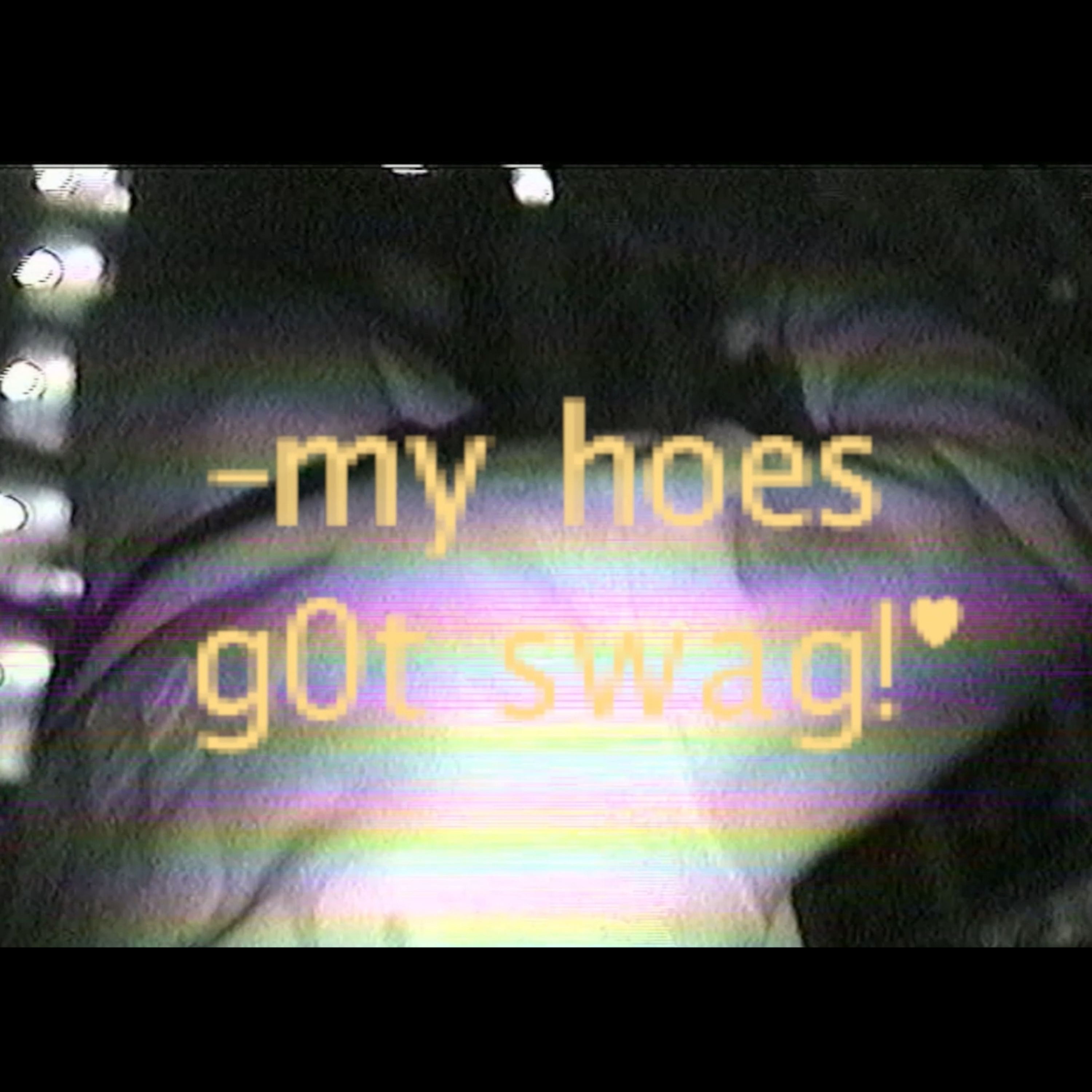 my h0es got swag! artwork