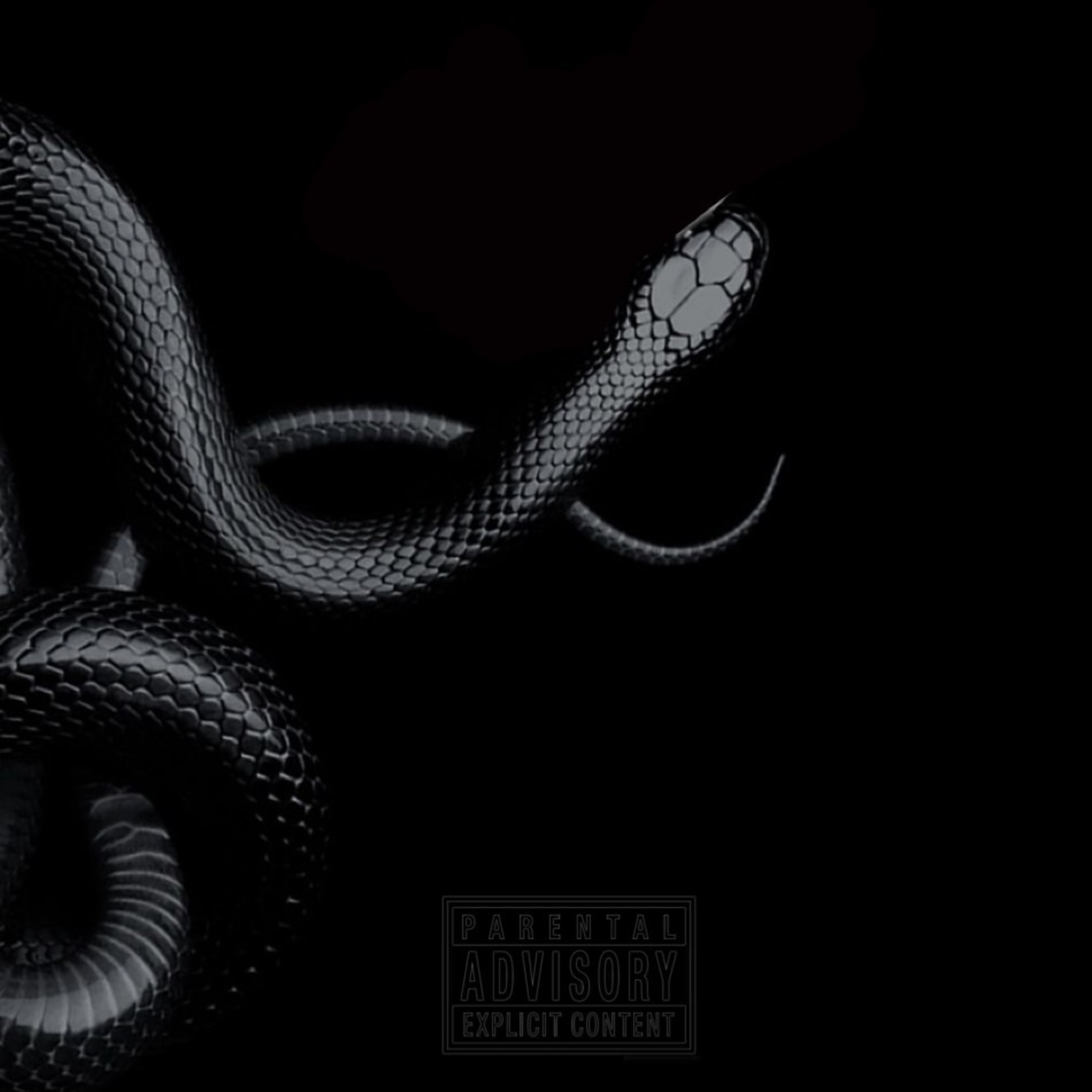 In The Dark artwork
