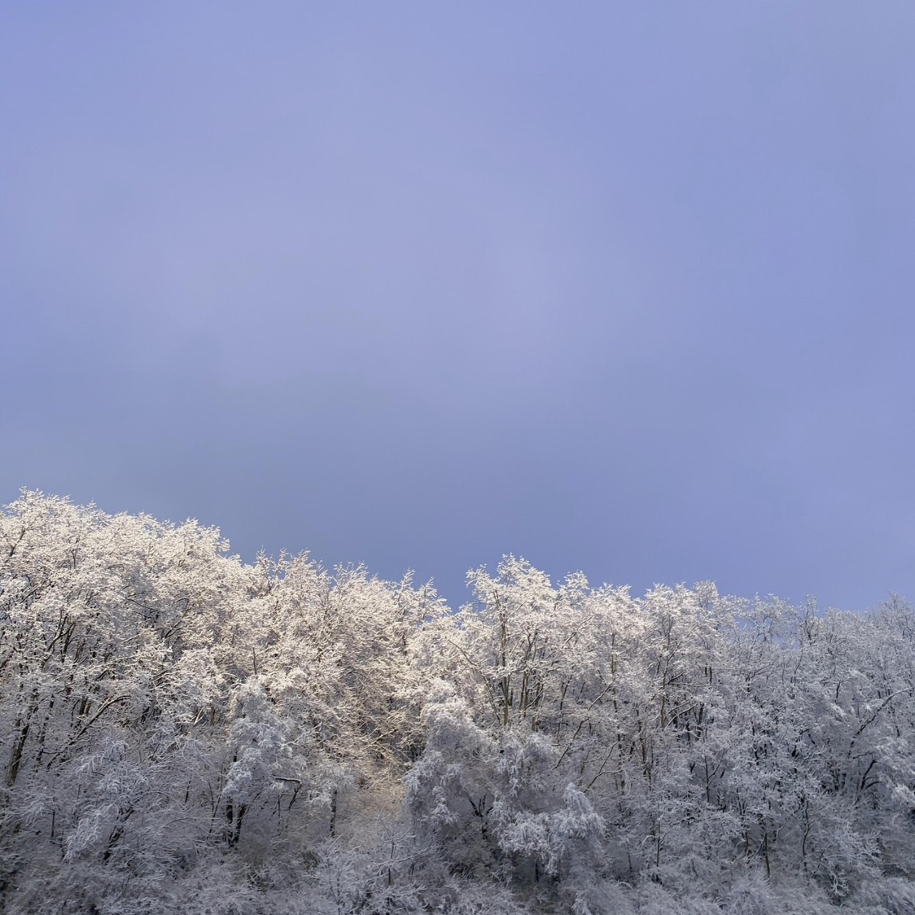 Winter Sickness artwork