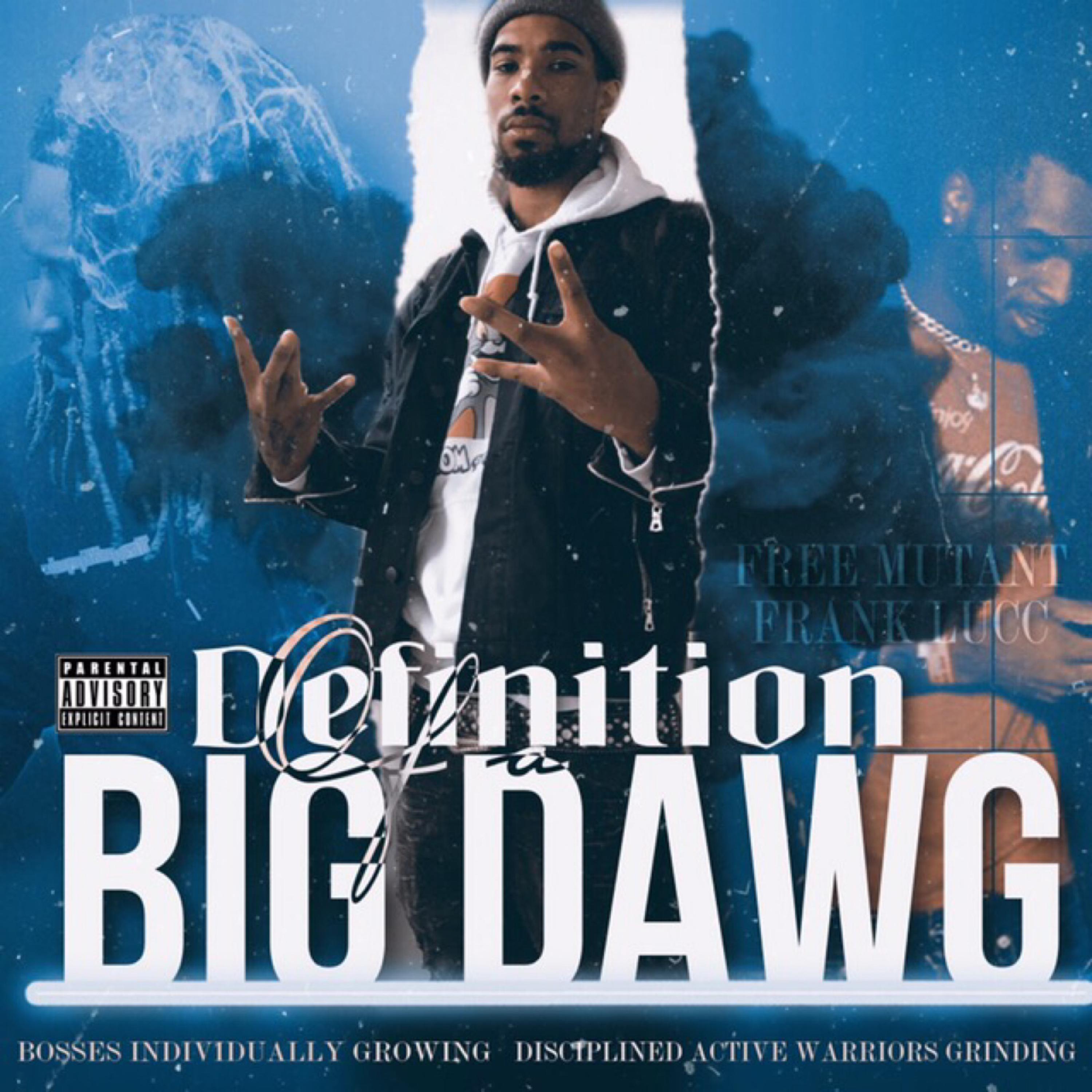 Definition Of A BiG DawG by 6iG DawG DT cover art