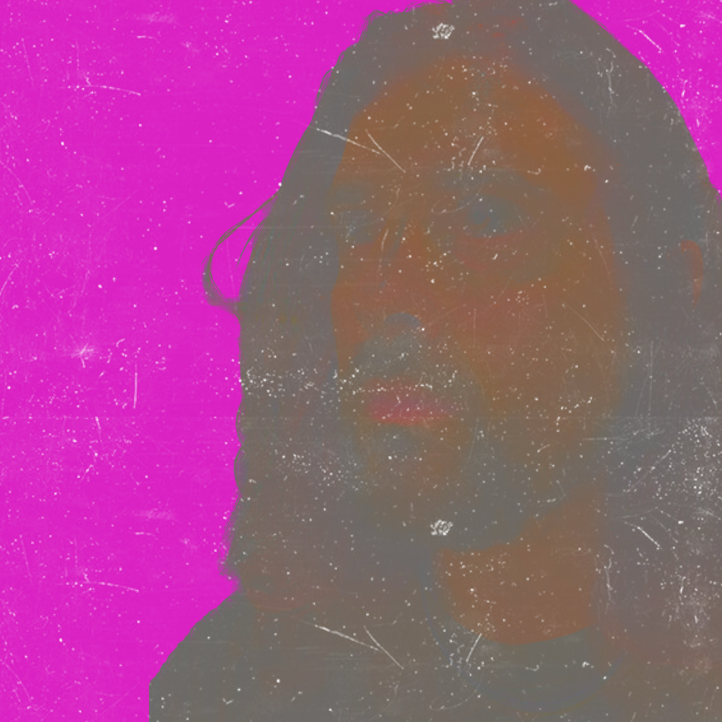 Nine lives artwork
