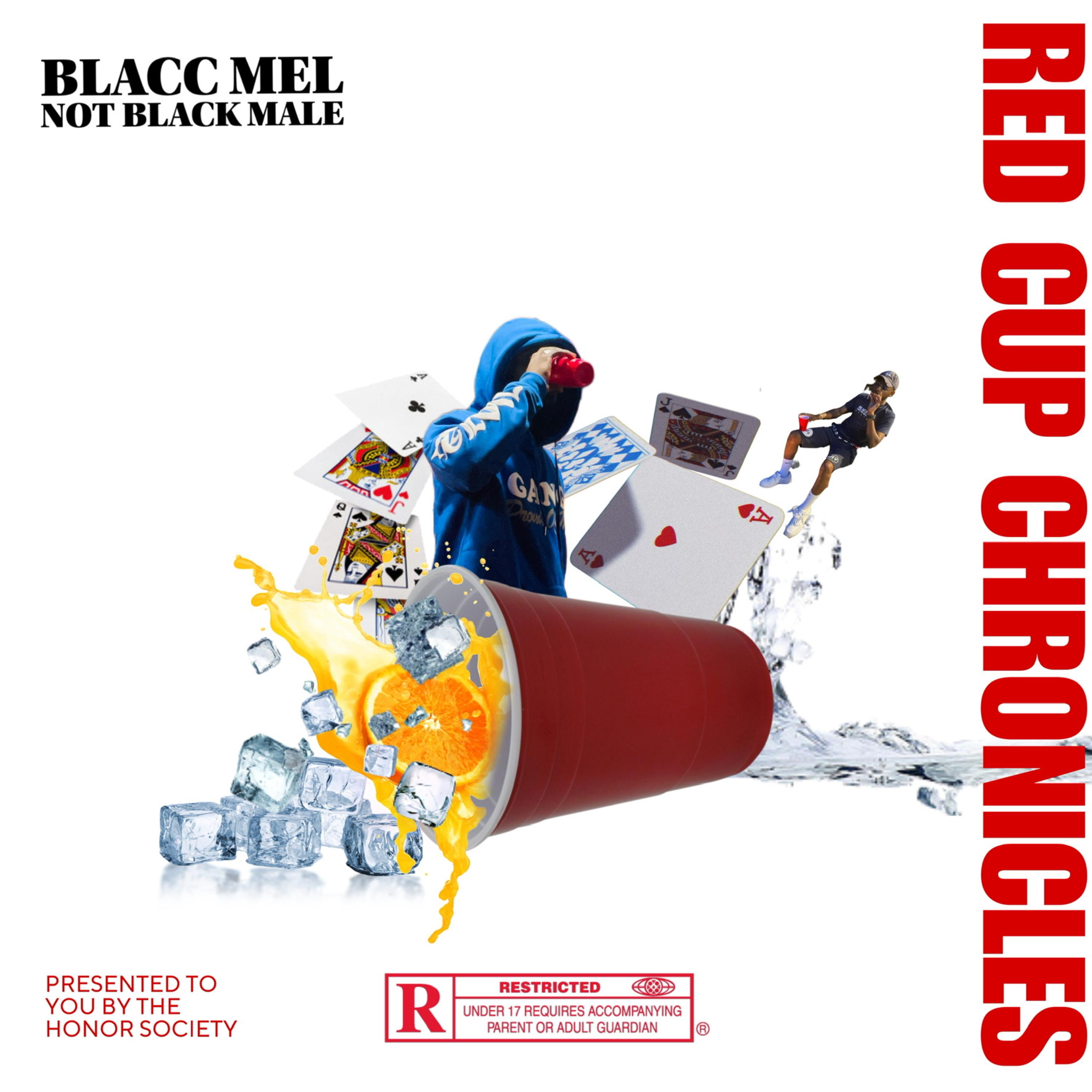 Red Cup Chronicles artwork