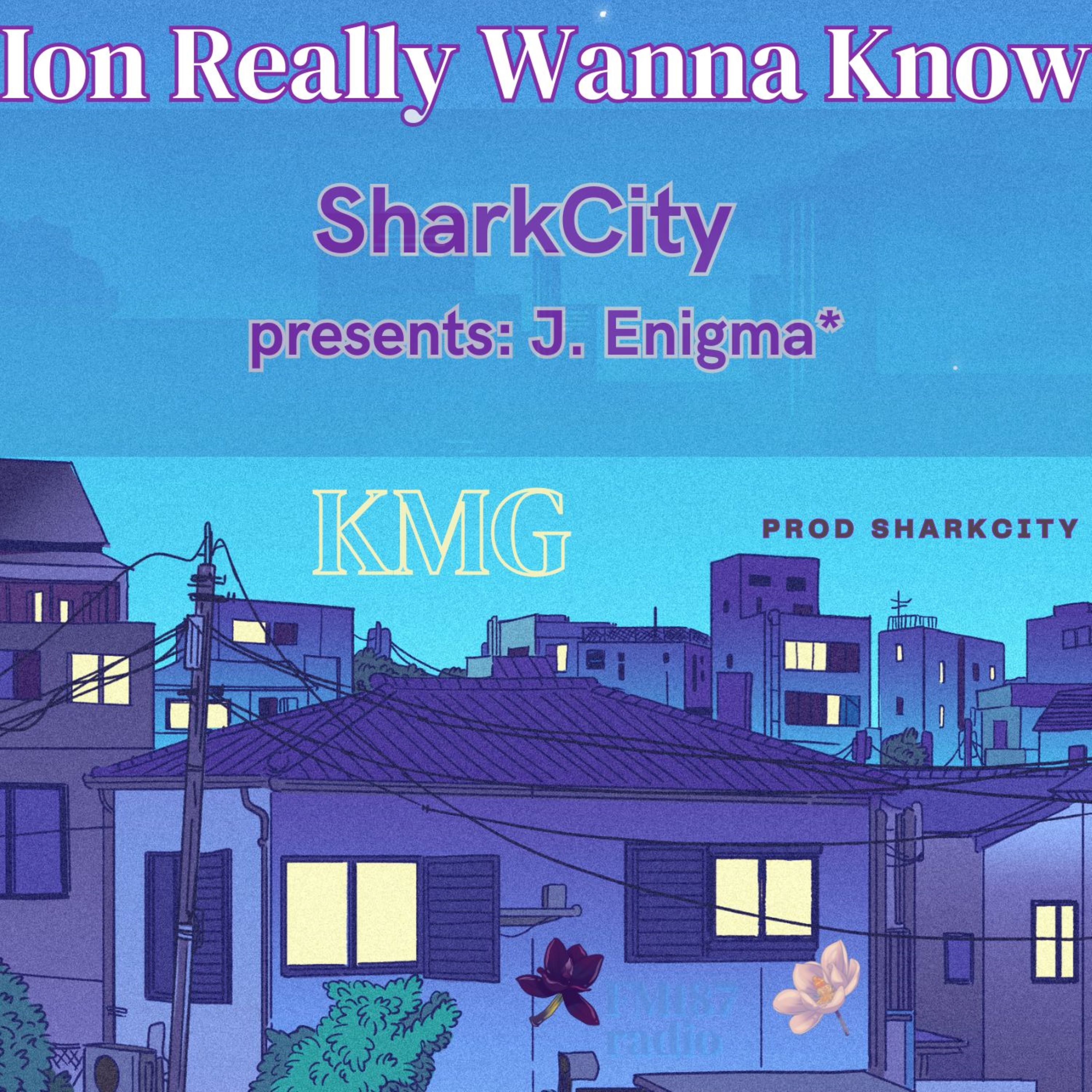 Ion Really Wanna Know artwork