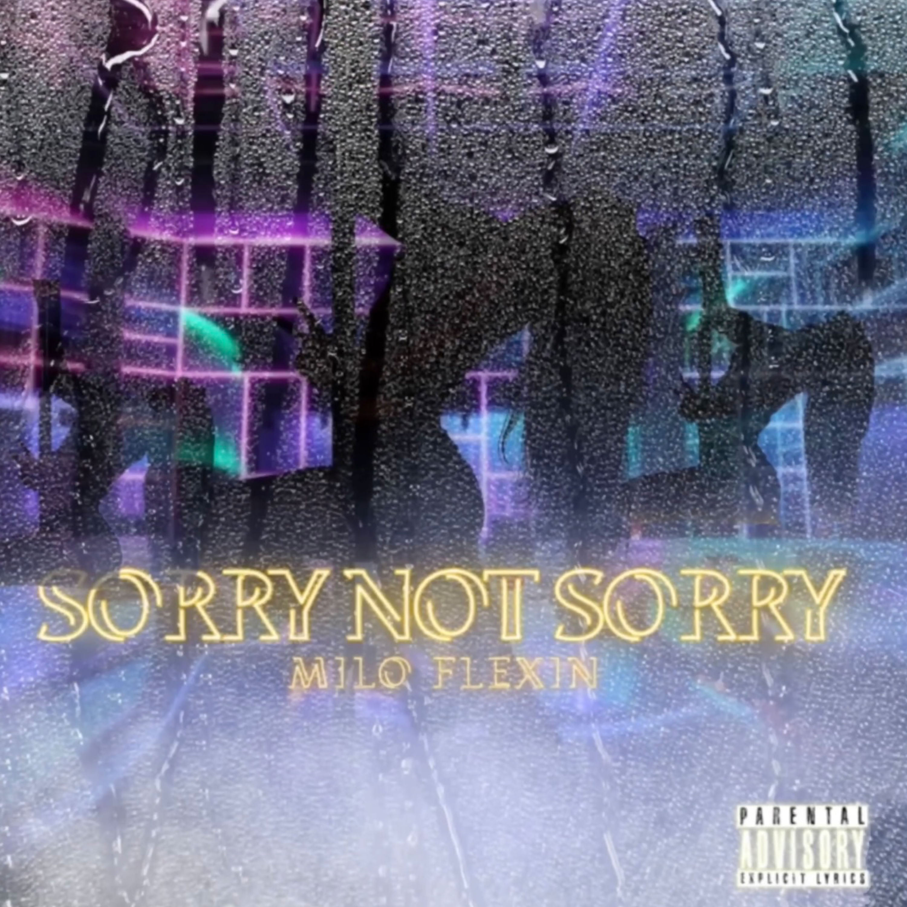 SORRY NOT SORRY artwork