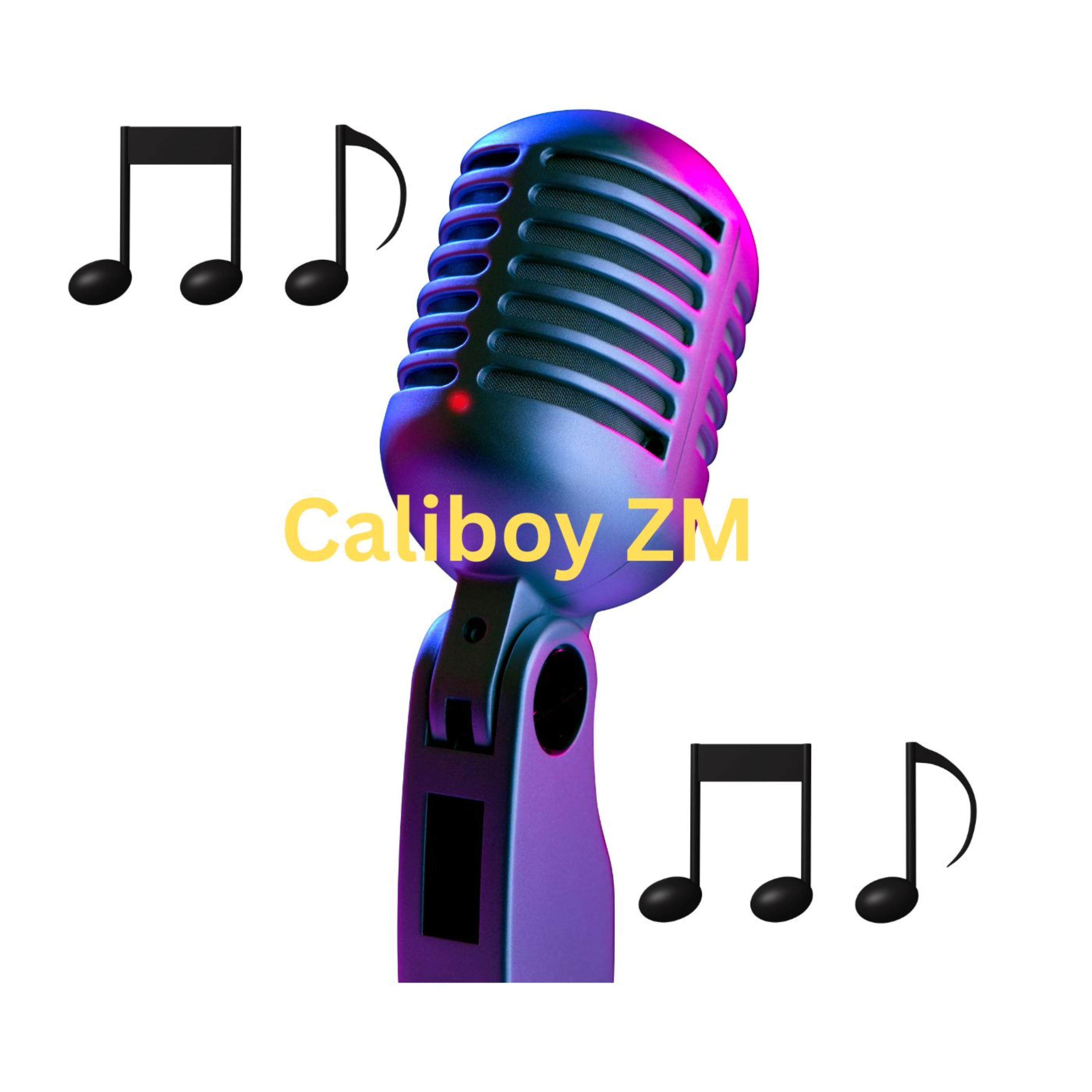 I'm not looking for a project to fund by Caliboy ZM cover art