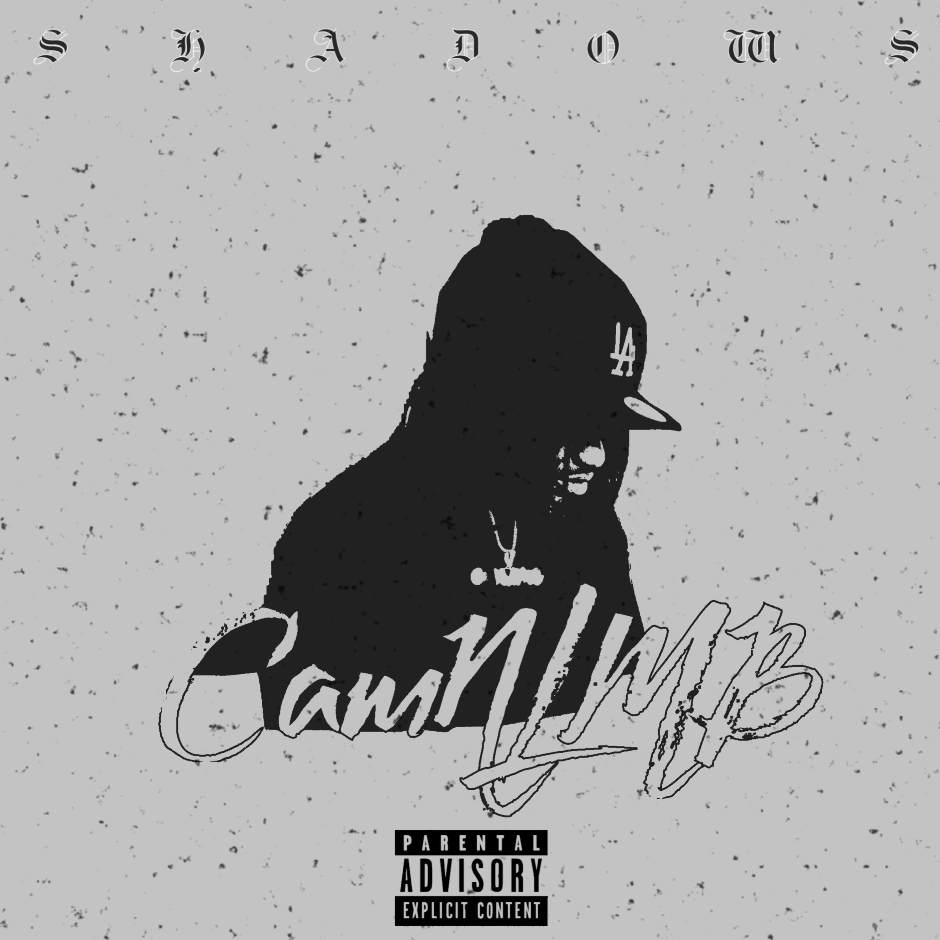 Shadows artwork