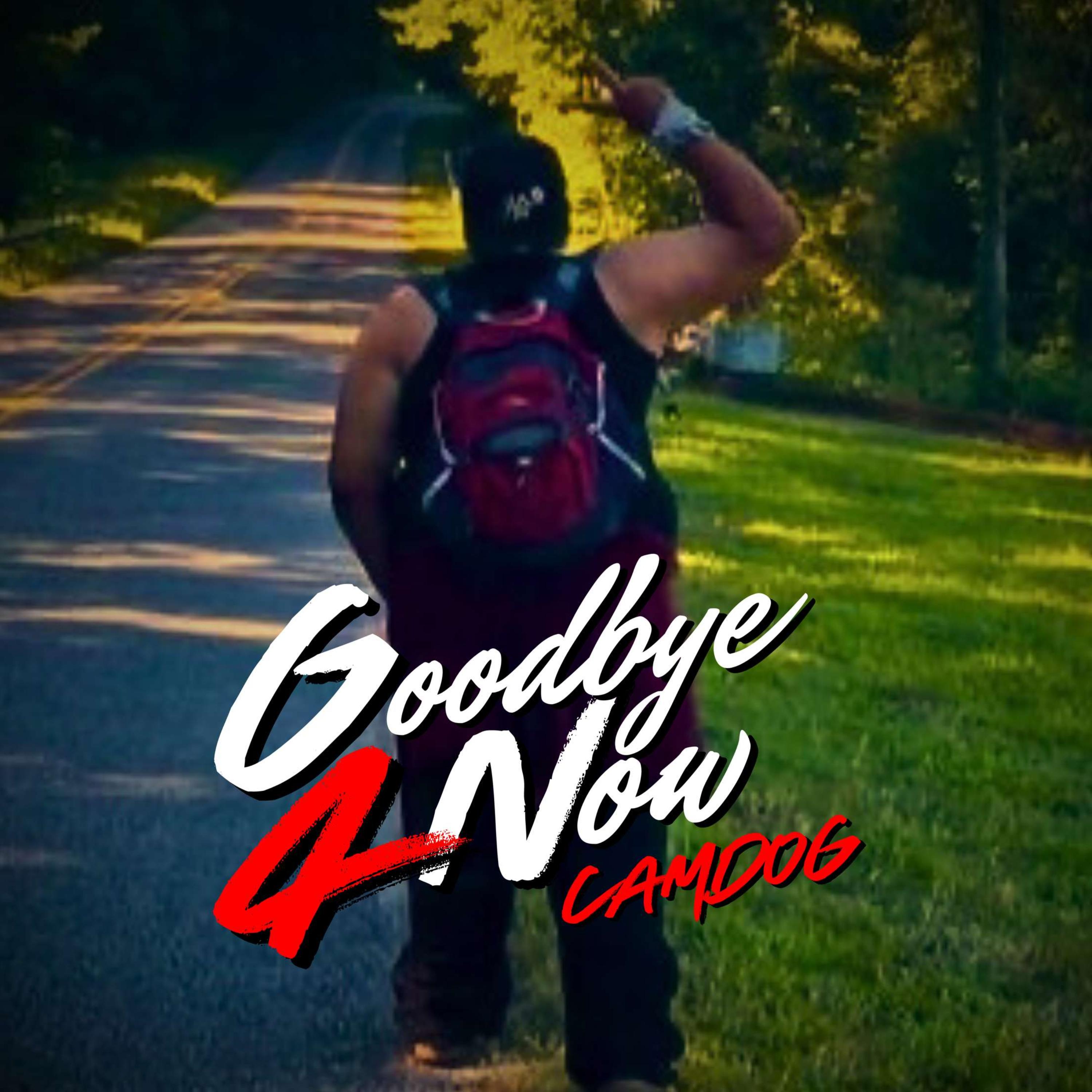Goodbye 4 Now by Camdog cover art