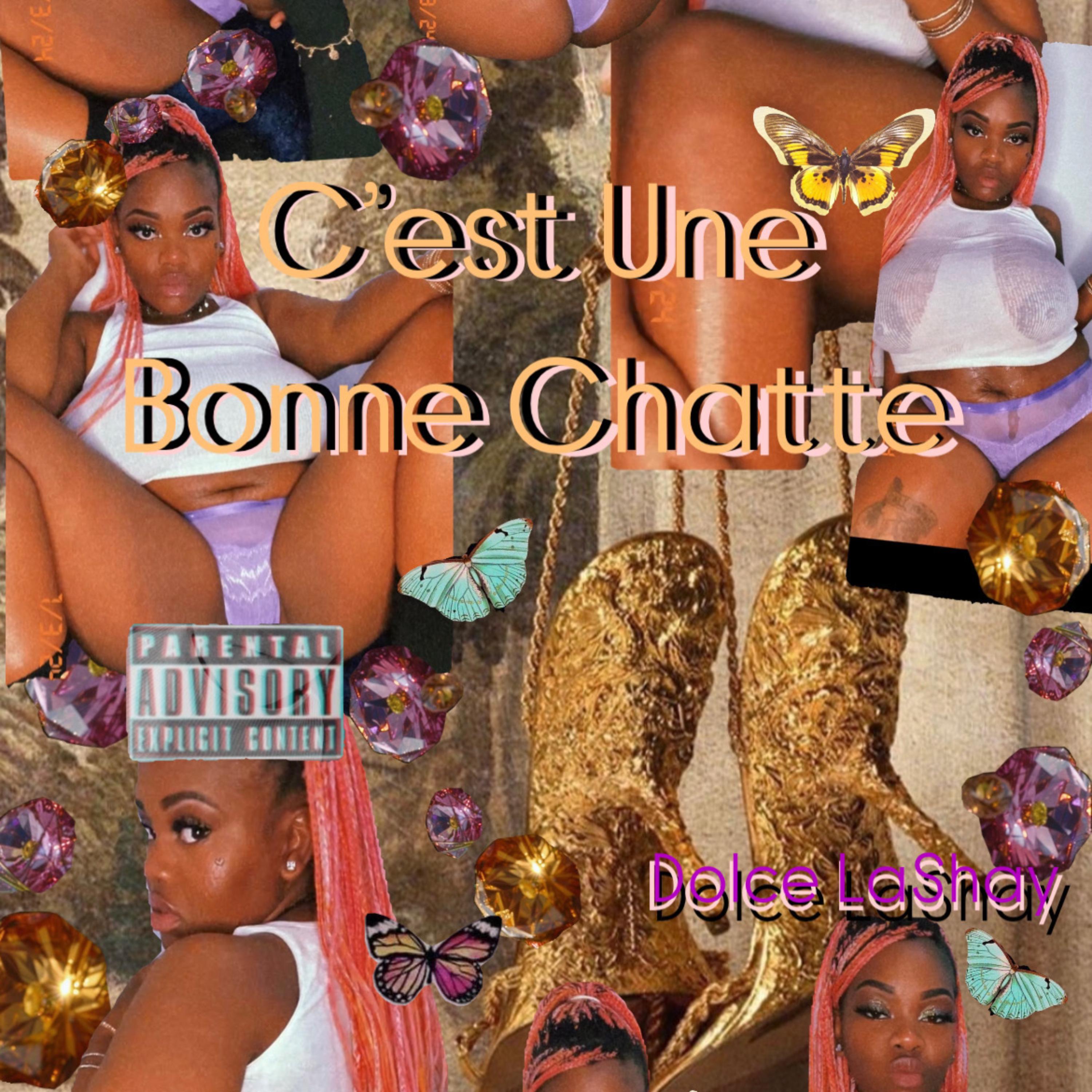 C’est Une Bonne Chatte artwork
