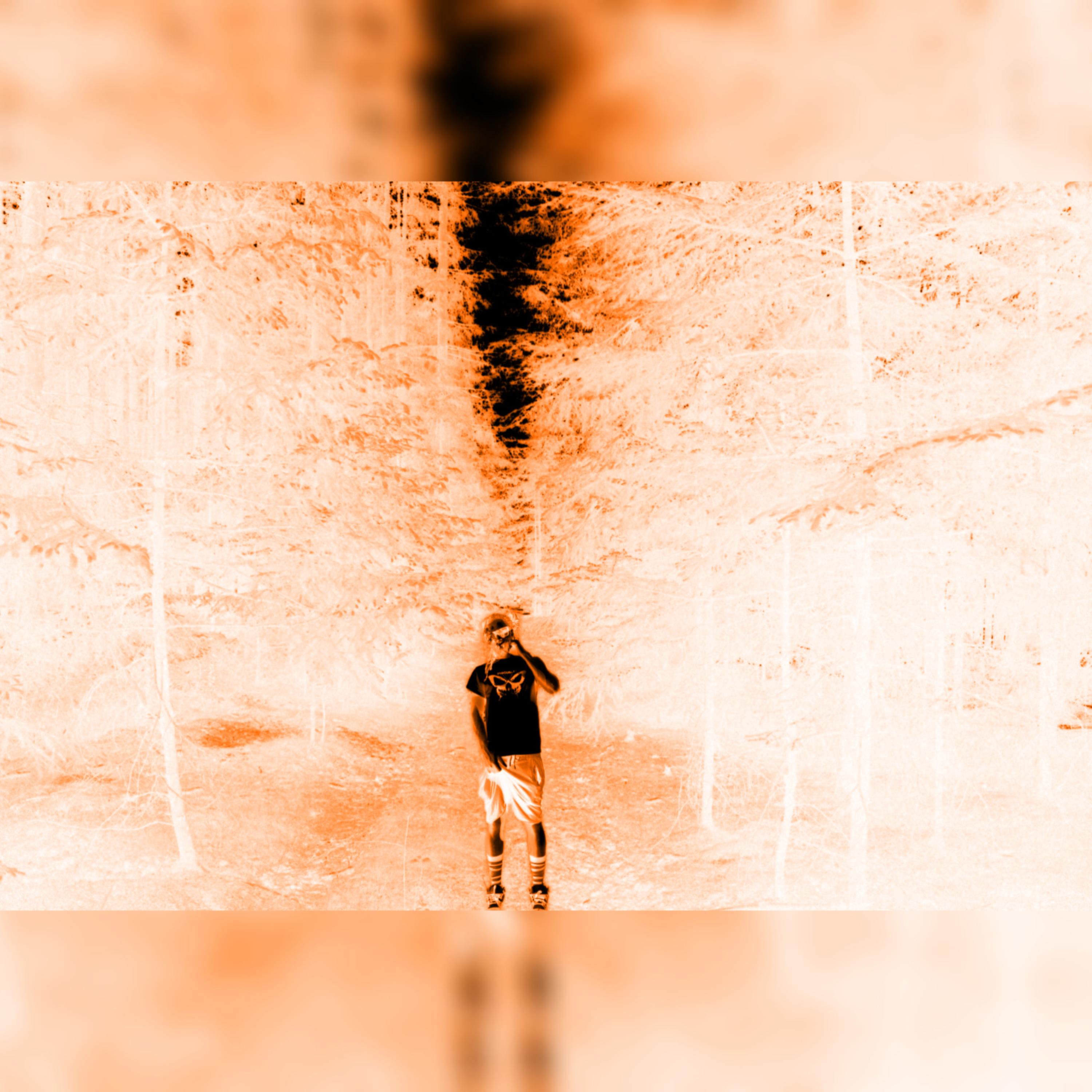 NarleySoul artwork