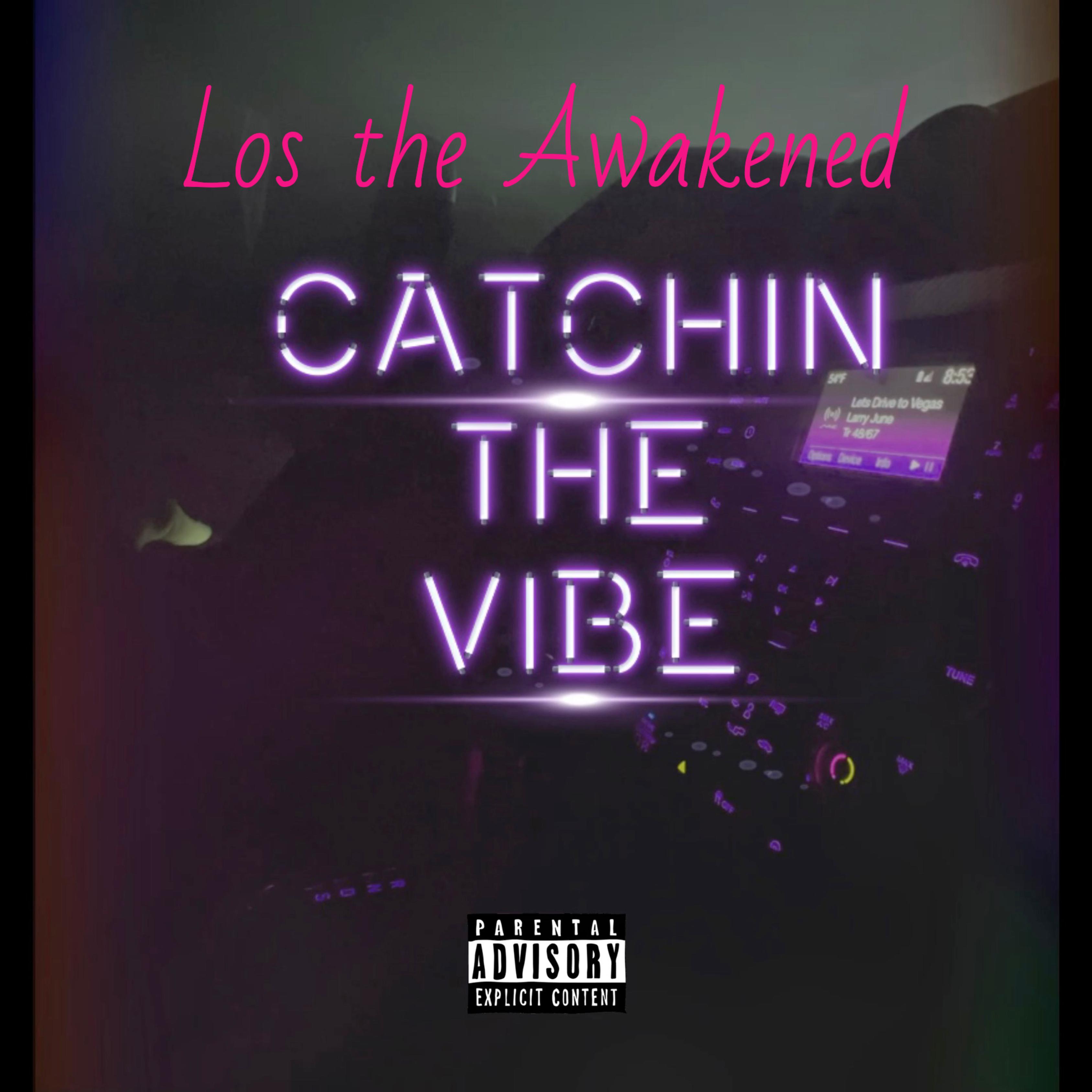 Catchin The Vibe by Los the Awakened cover art