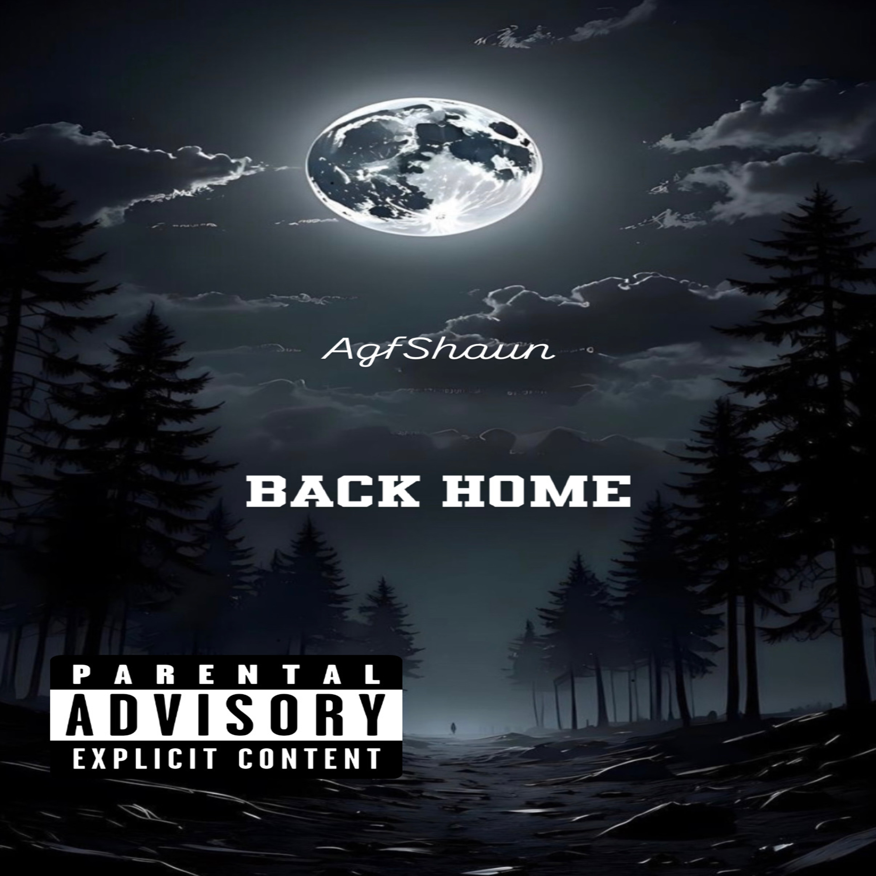 Back Home artwork
