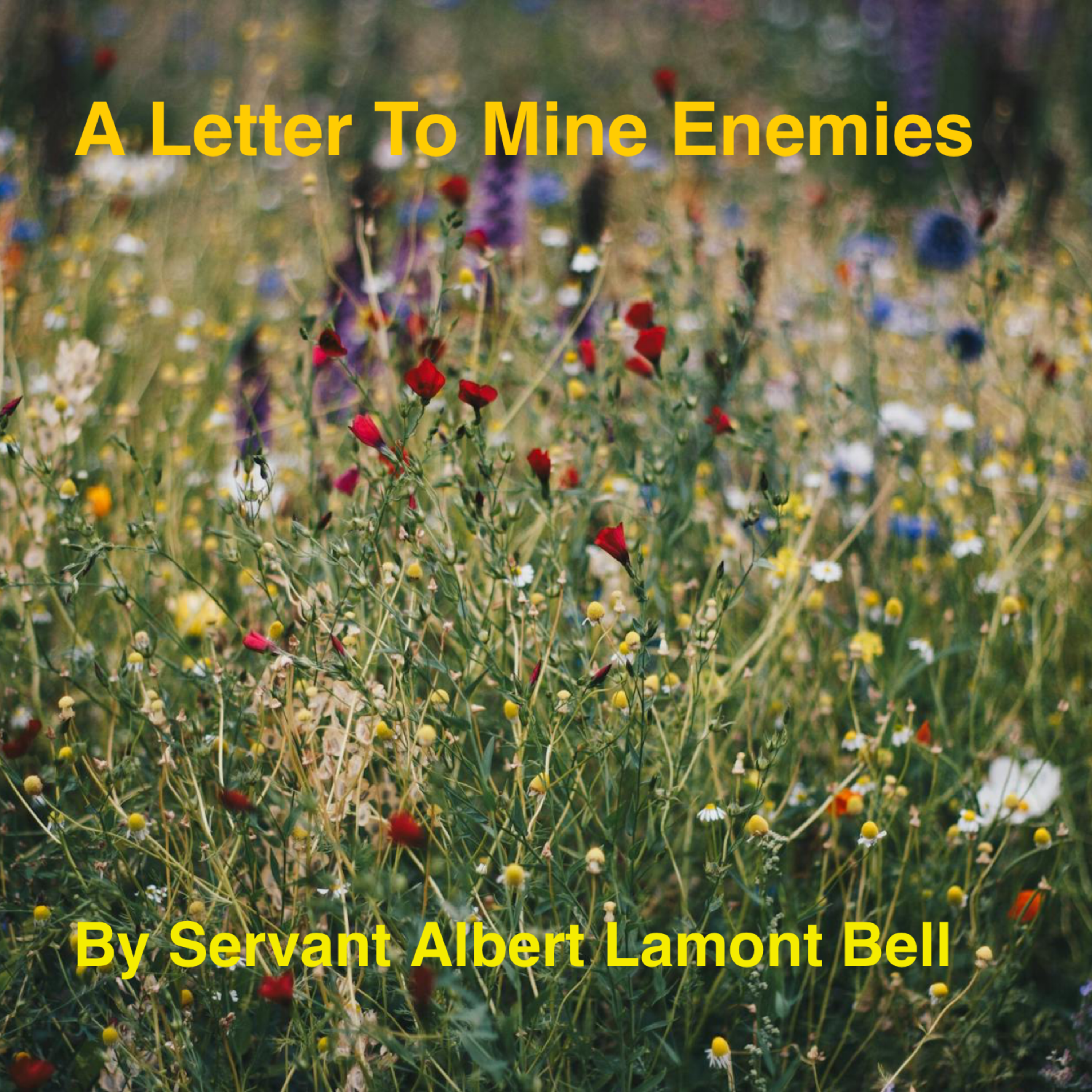 A Letter To Mine Enemies artwork