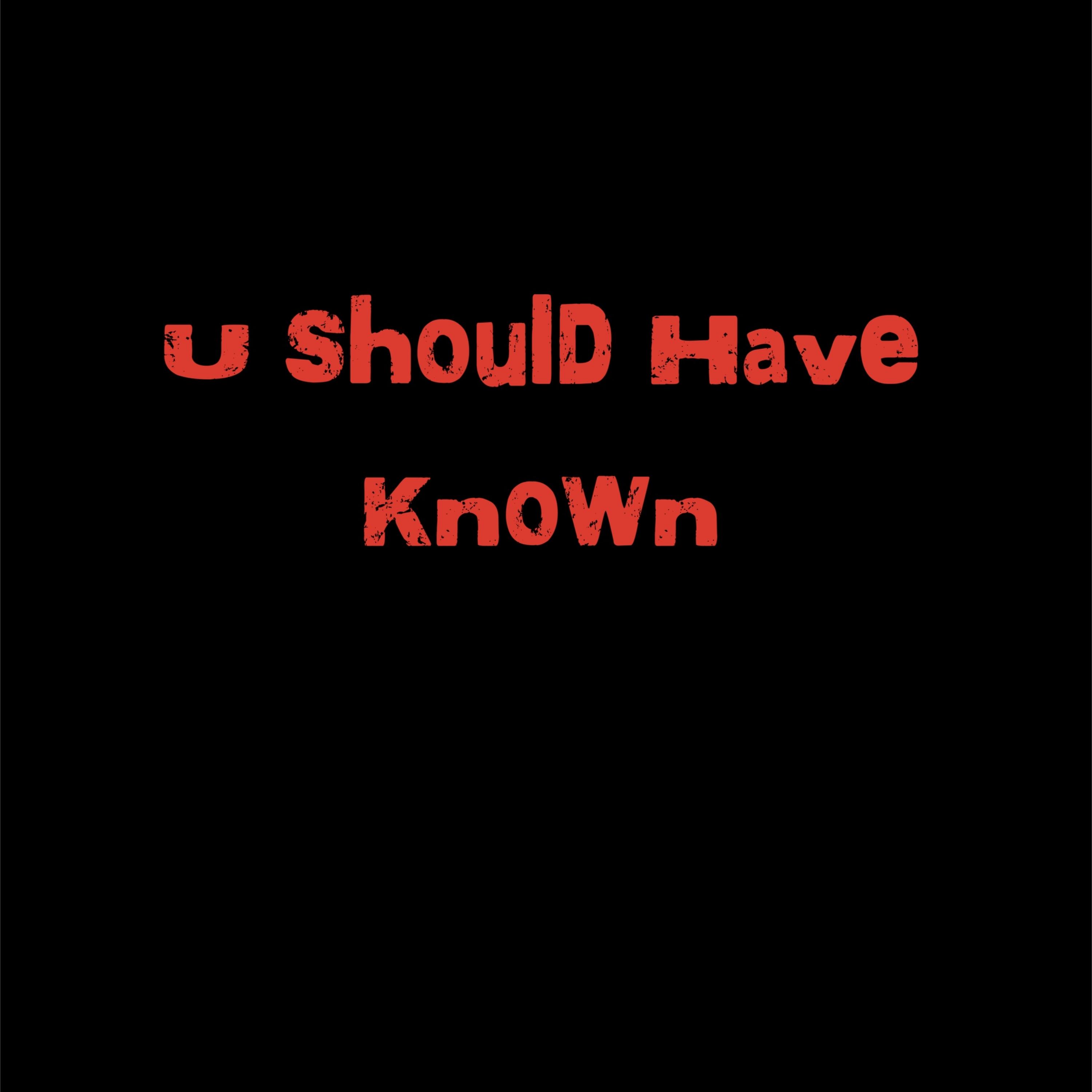 U Should Have Known artwork