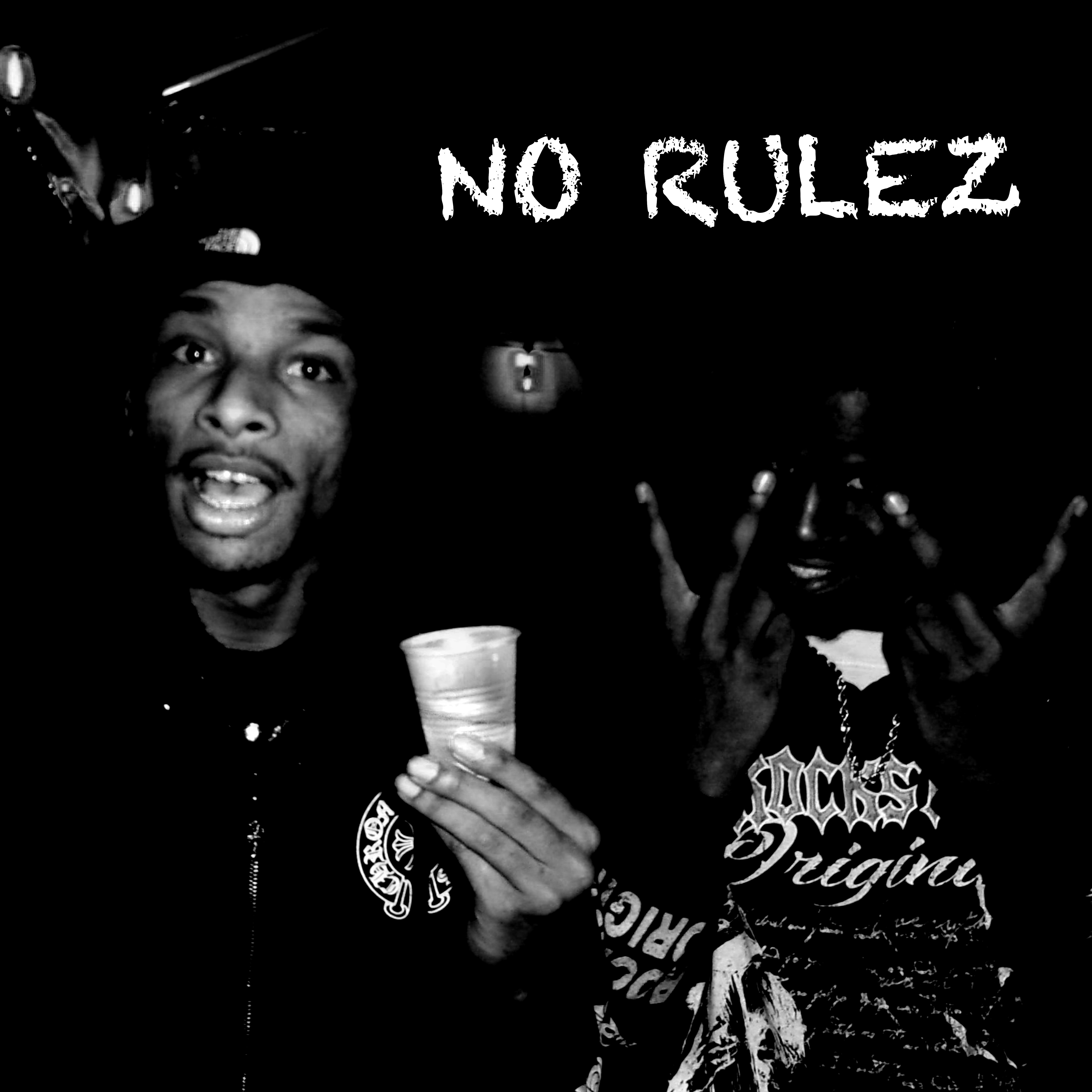 NO RULEZ artwork