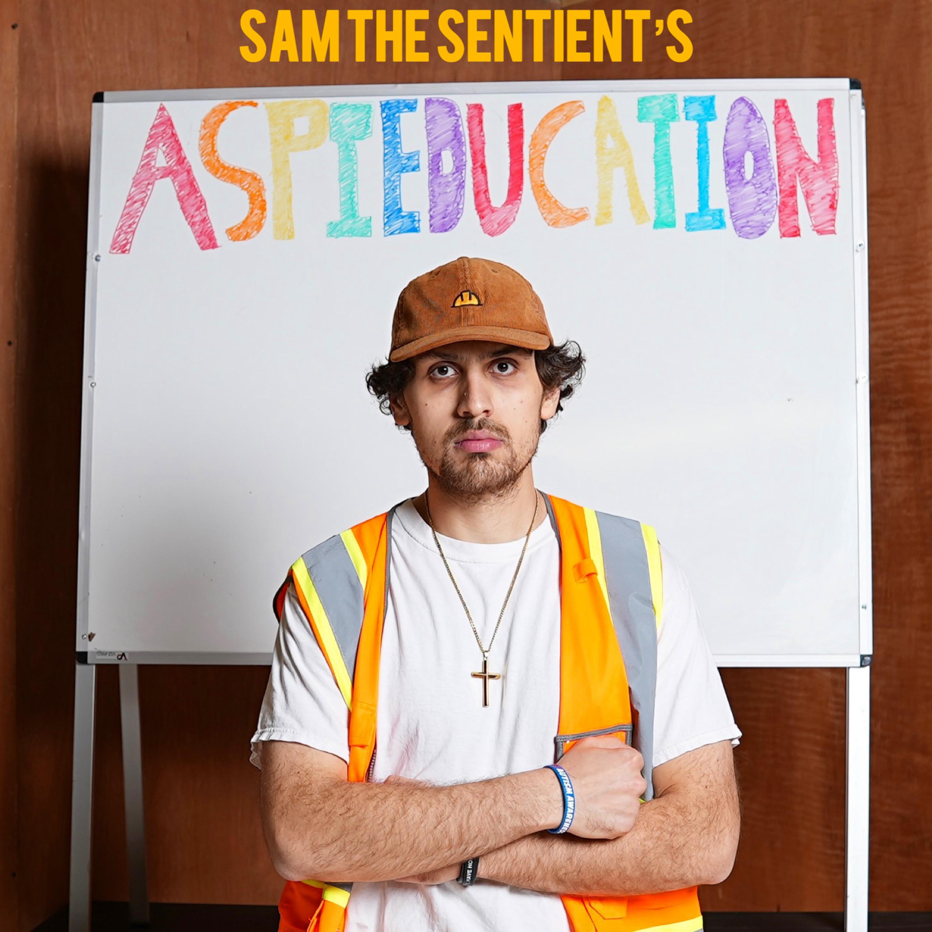 AspiEducation artwork