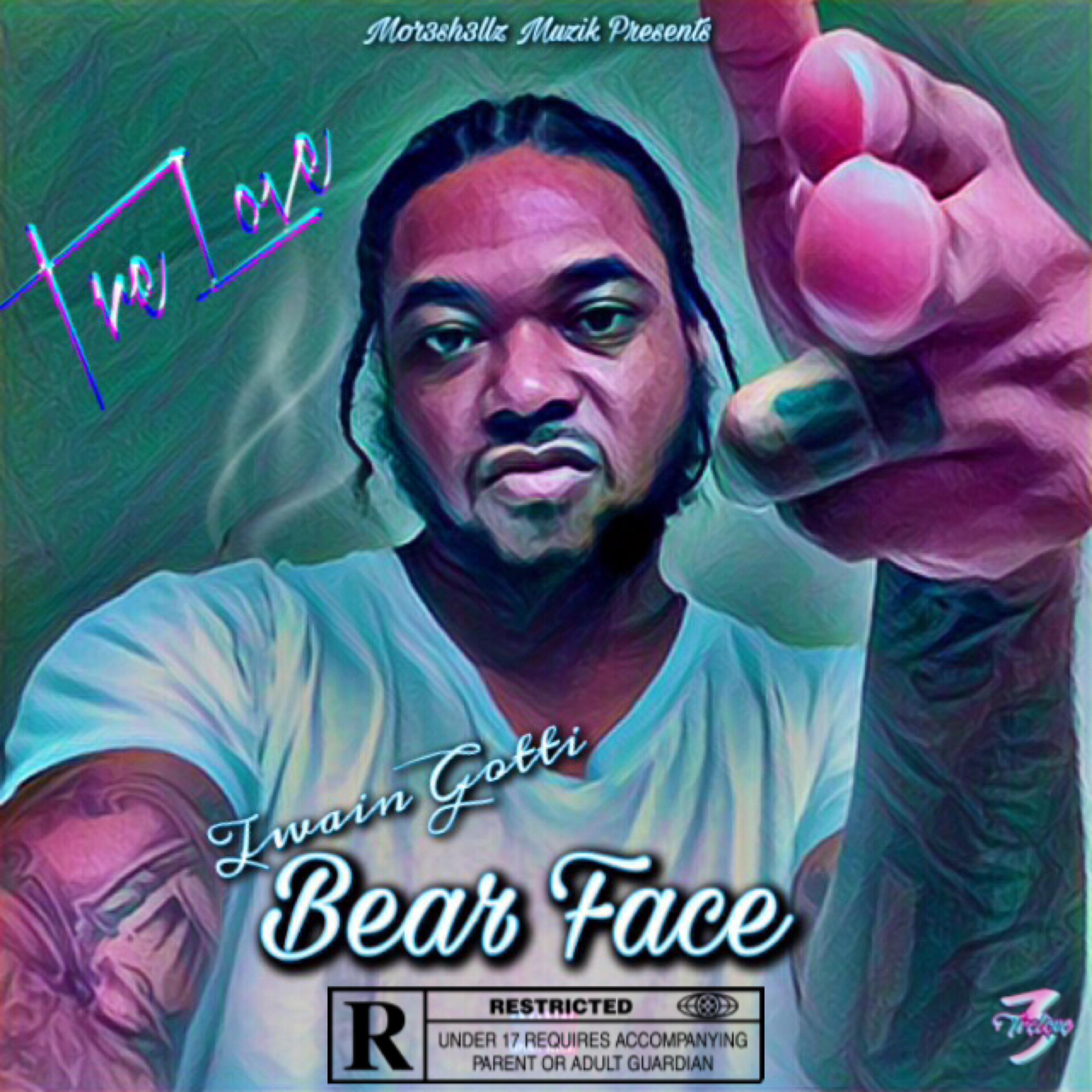 Bear Face artwork