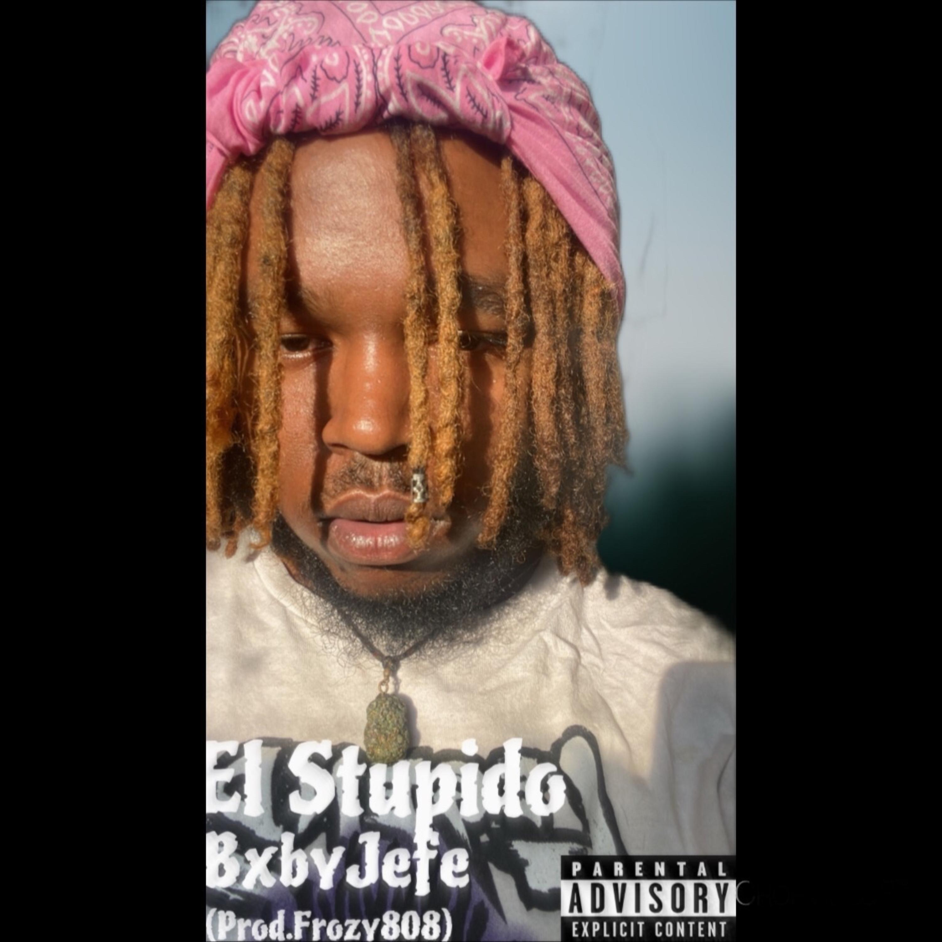 EL Stupido artwork
