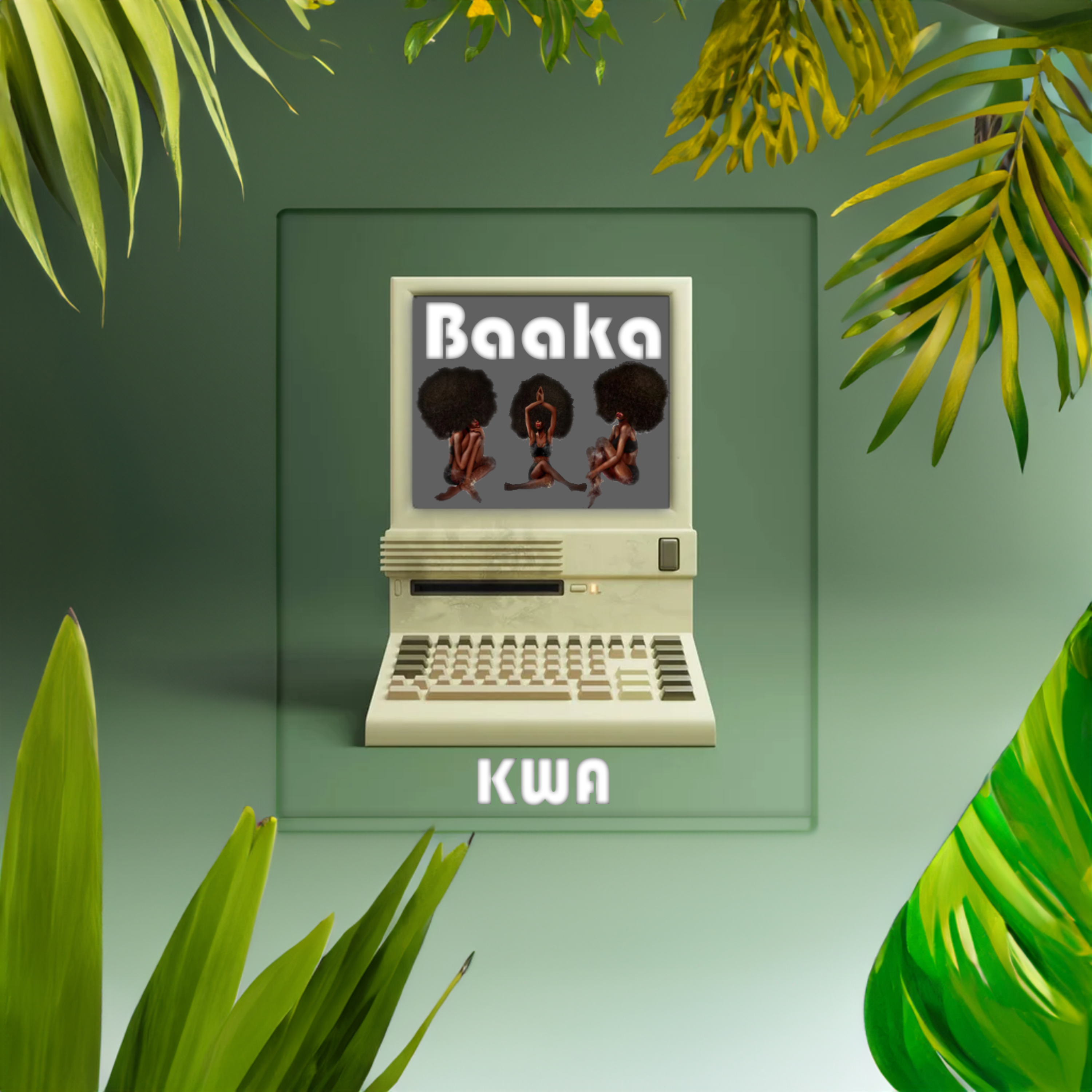 Baaka artwork