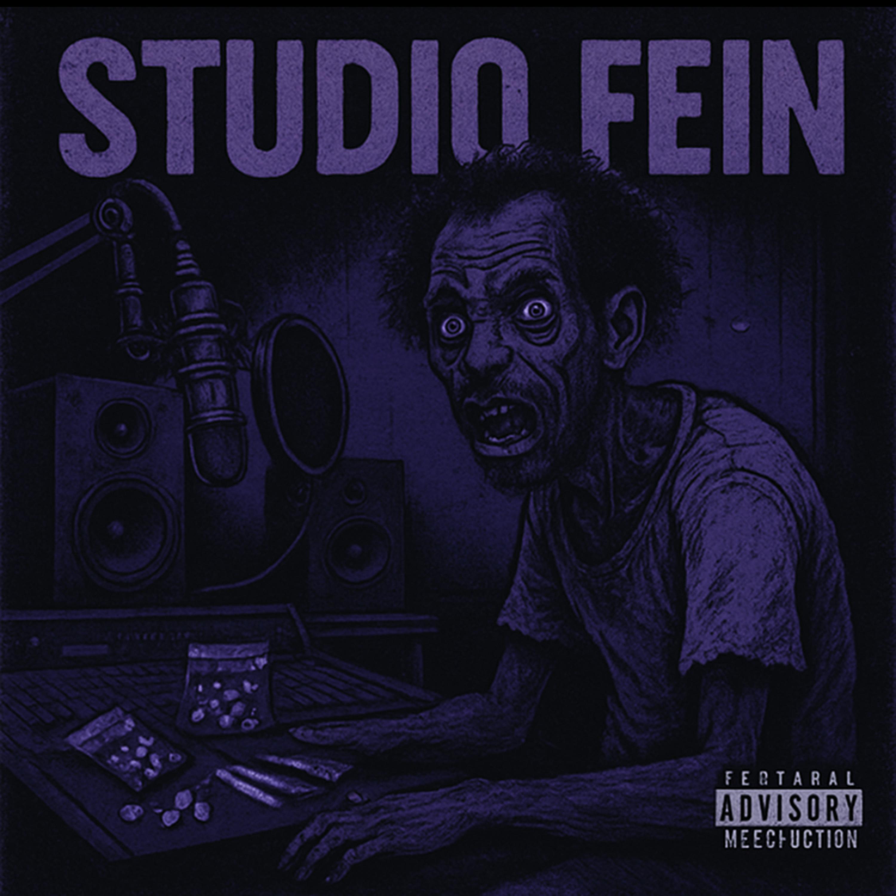 STUDIO FEIN artwork
