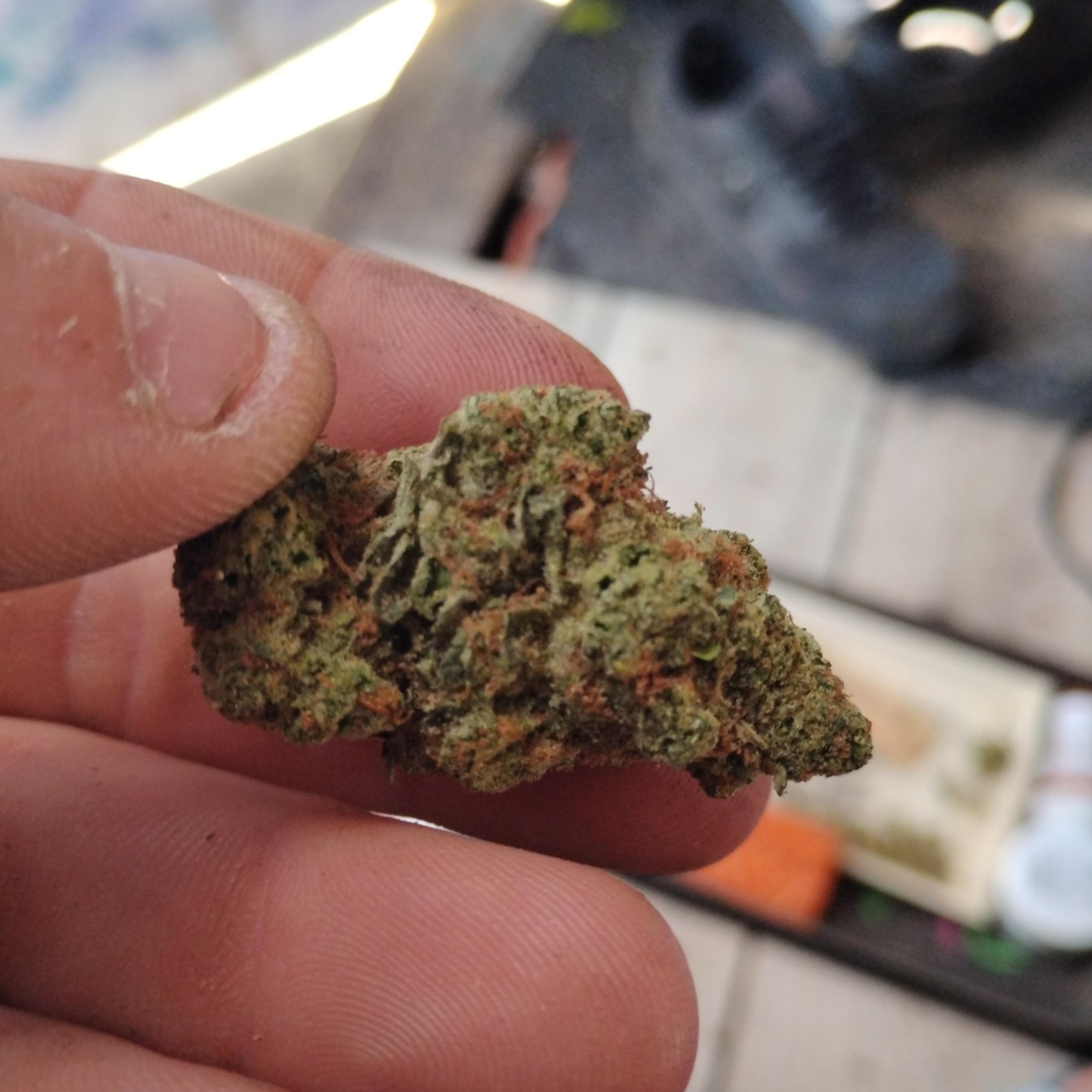 plate that shit on a cracker dude artwork