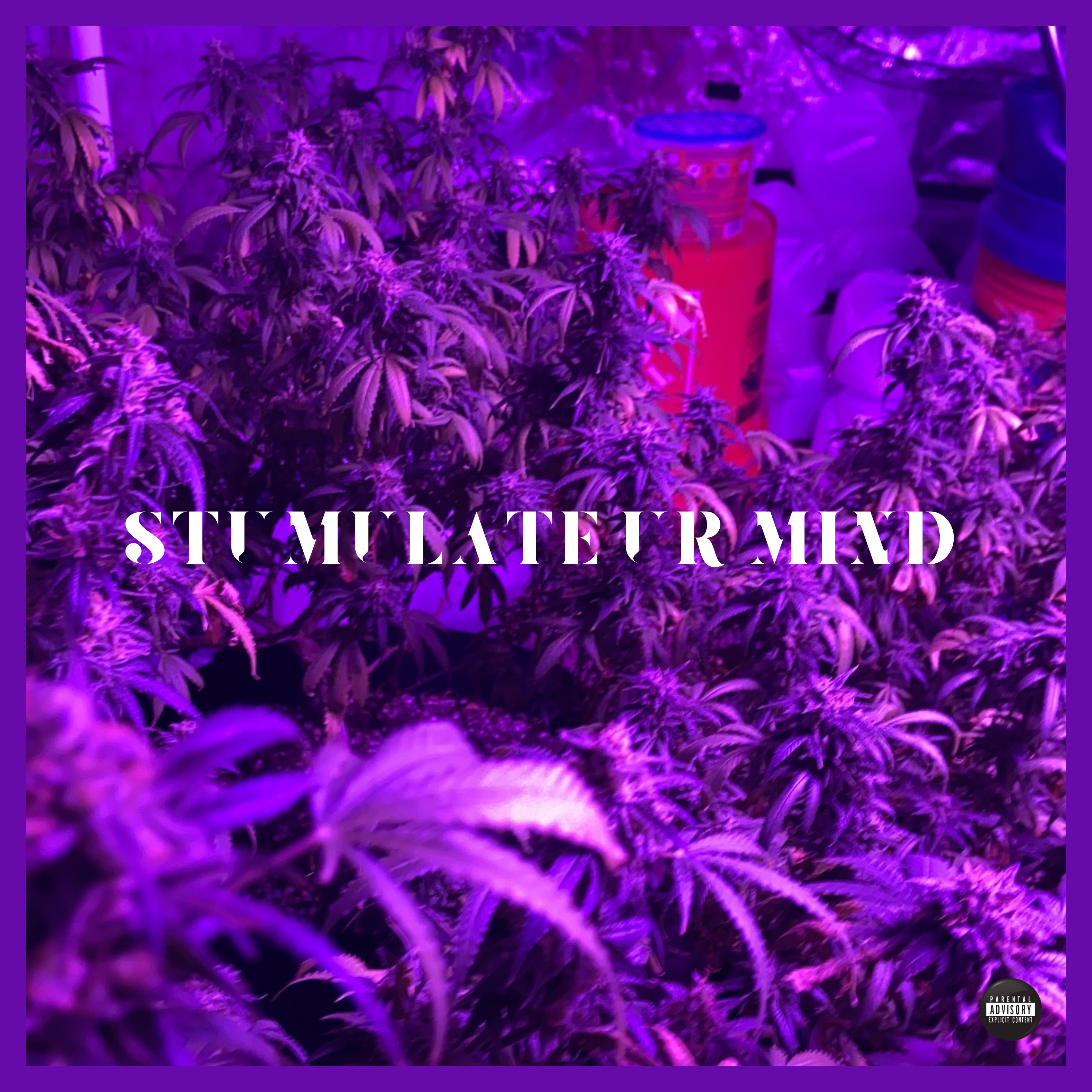 Stimulate Ur Mind artwork