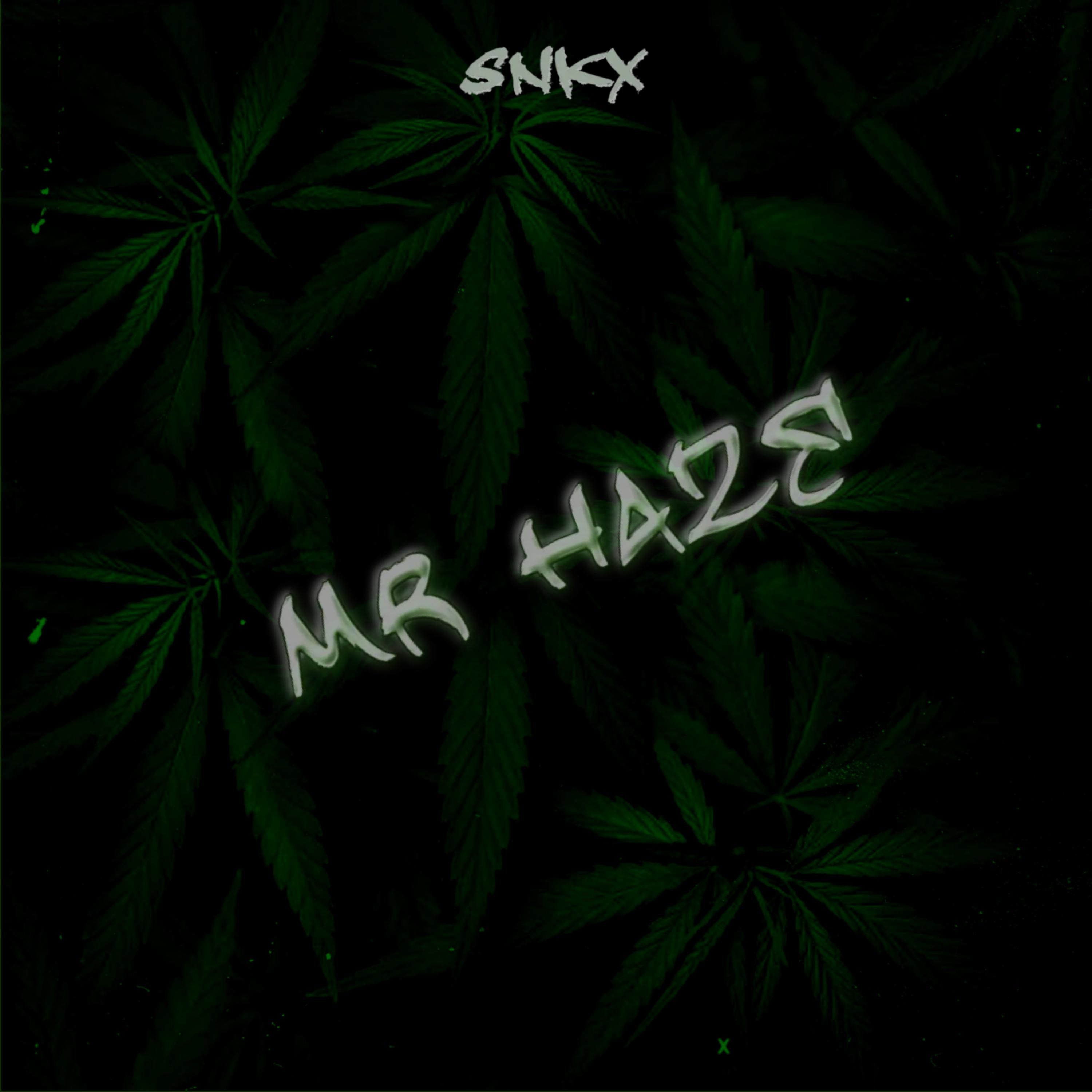 Mr Haze artwork