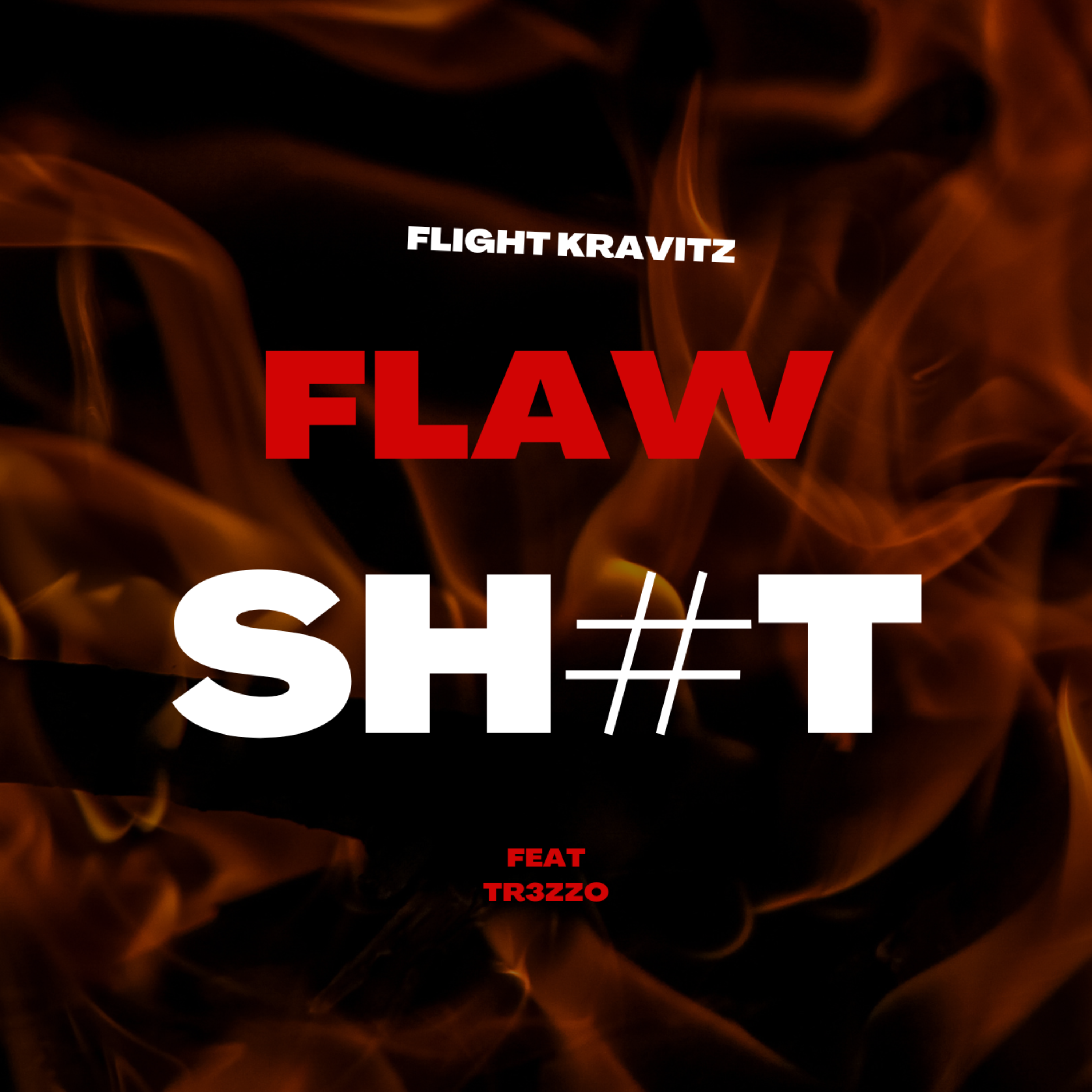 FLAW SHIT artwork