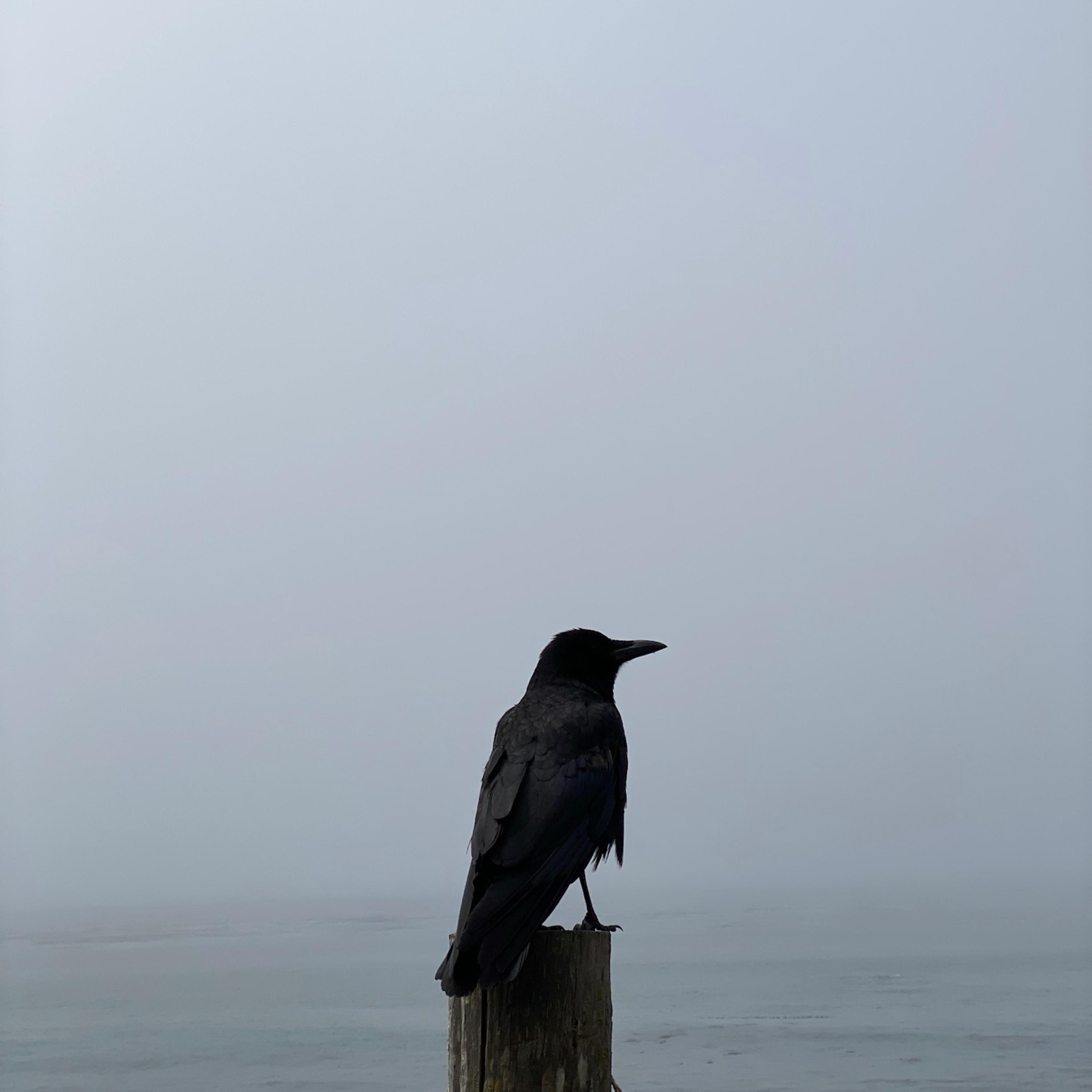 Ghosts On My Phone artwork