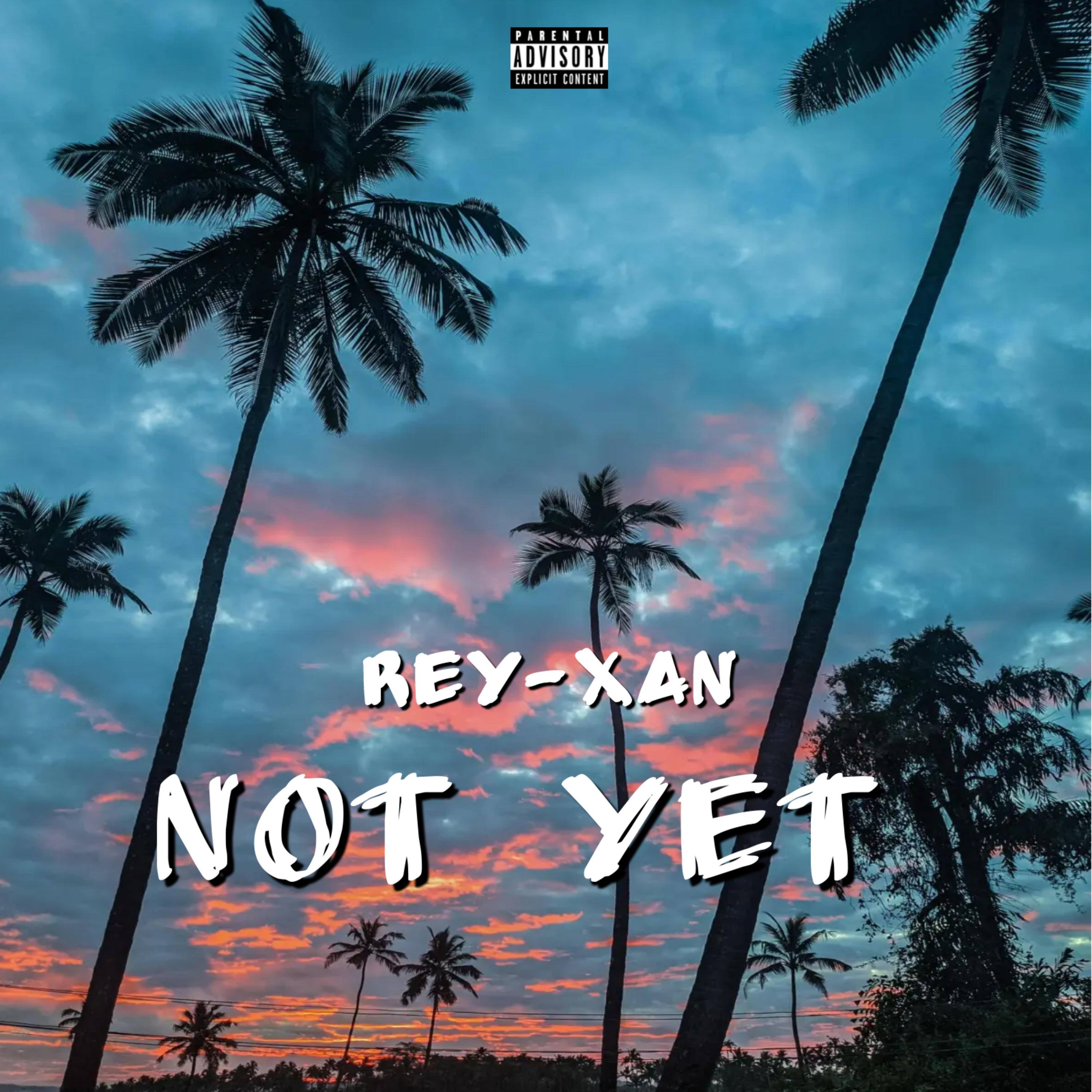 Not Yet artwork