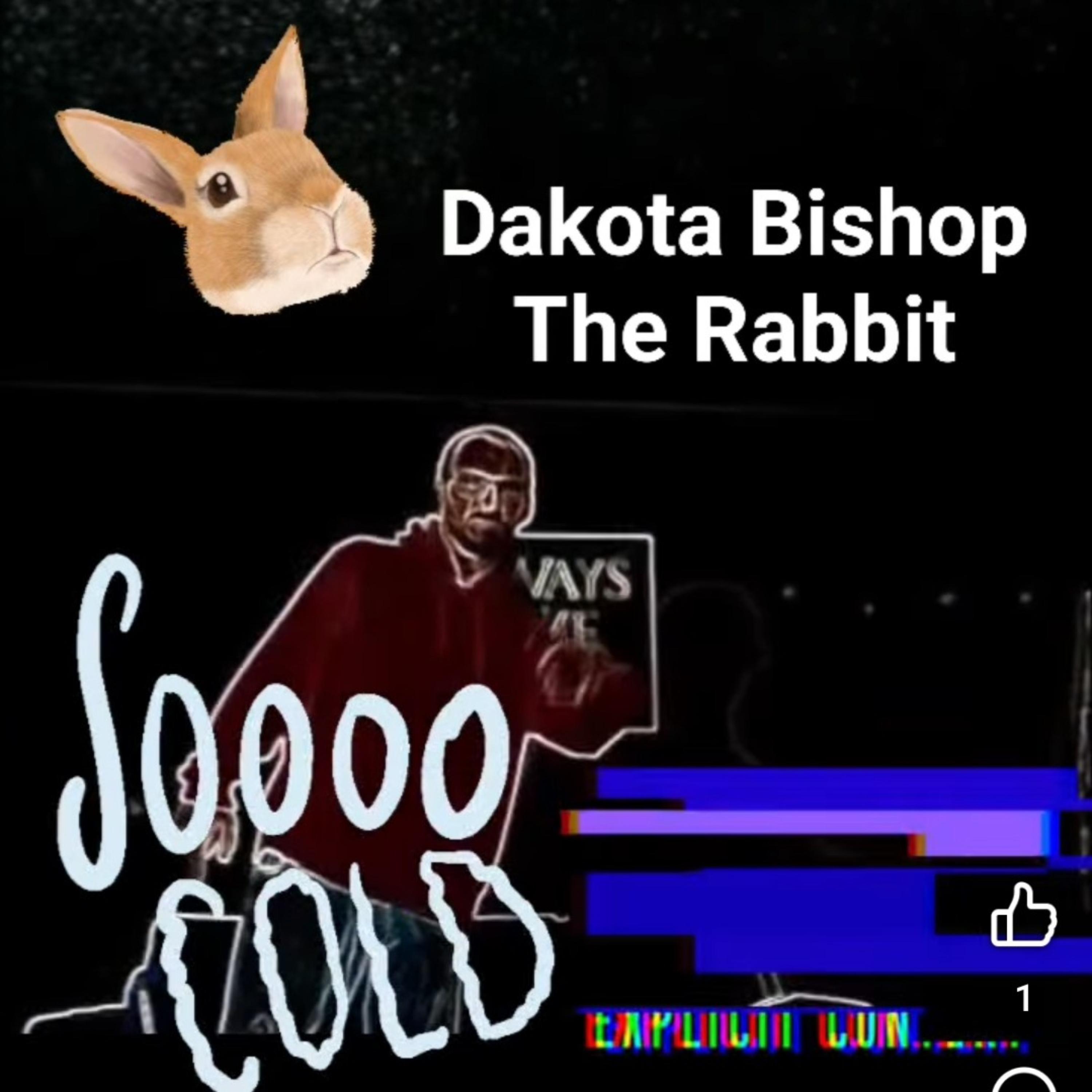So Cold by Dakota Bishop cover art