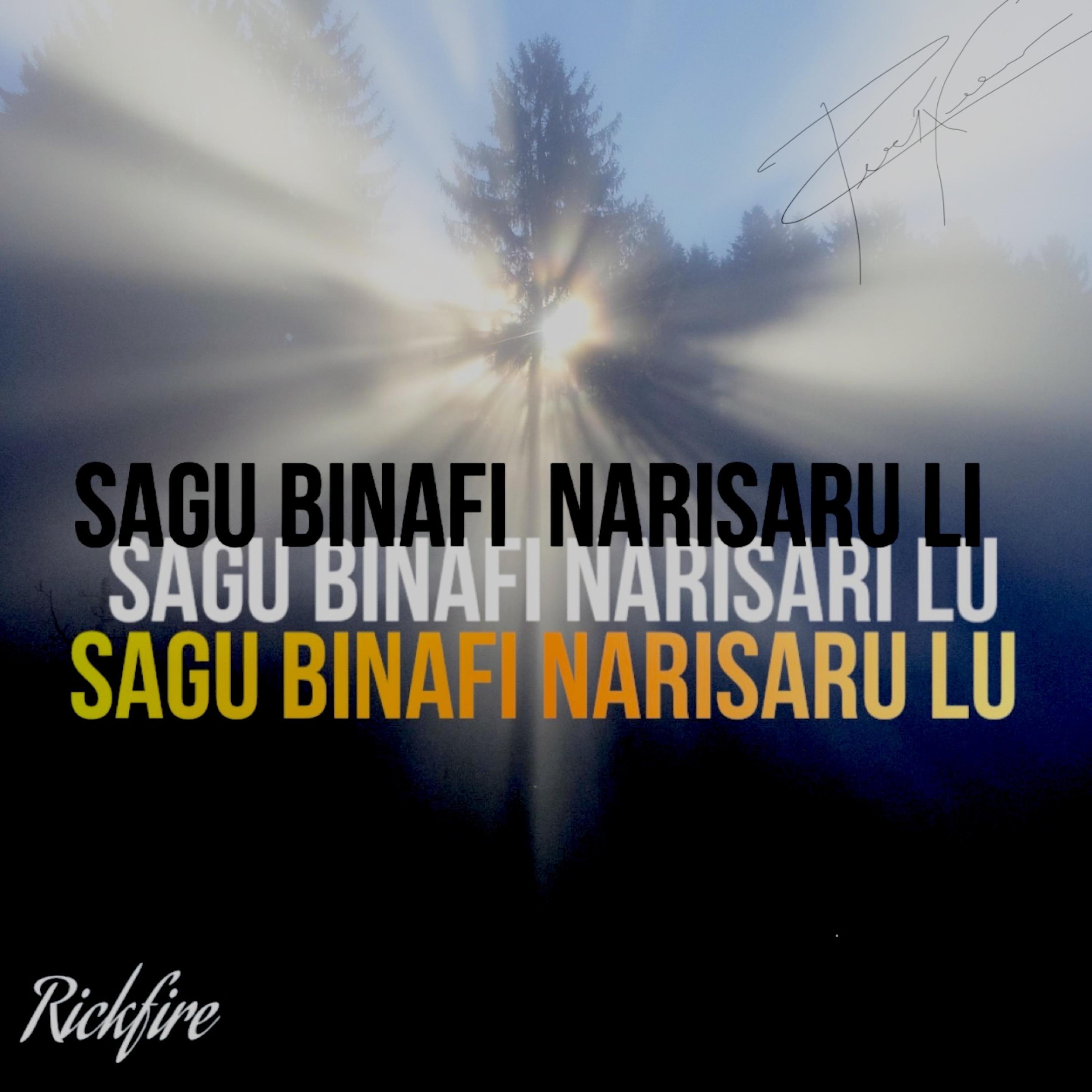 Sagu Binafi Narisaru Lu artwork