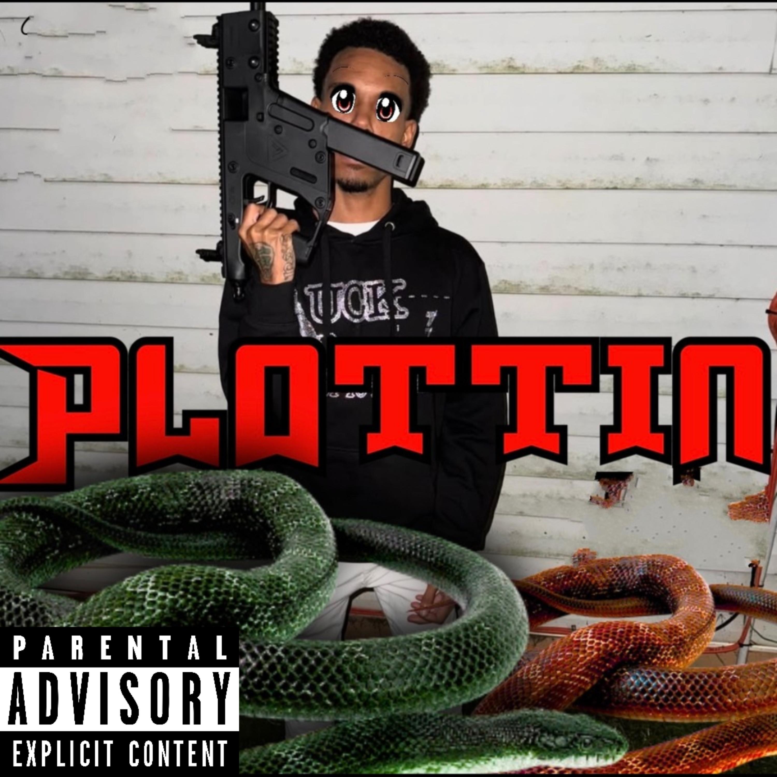 Plottin artwork