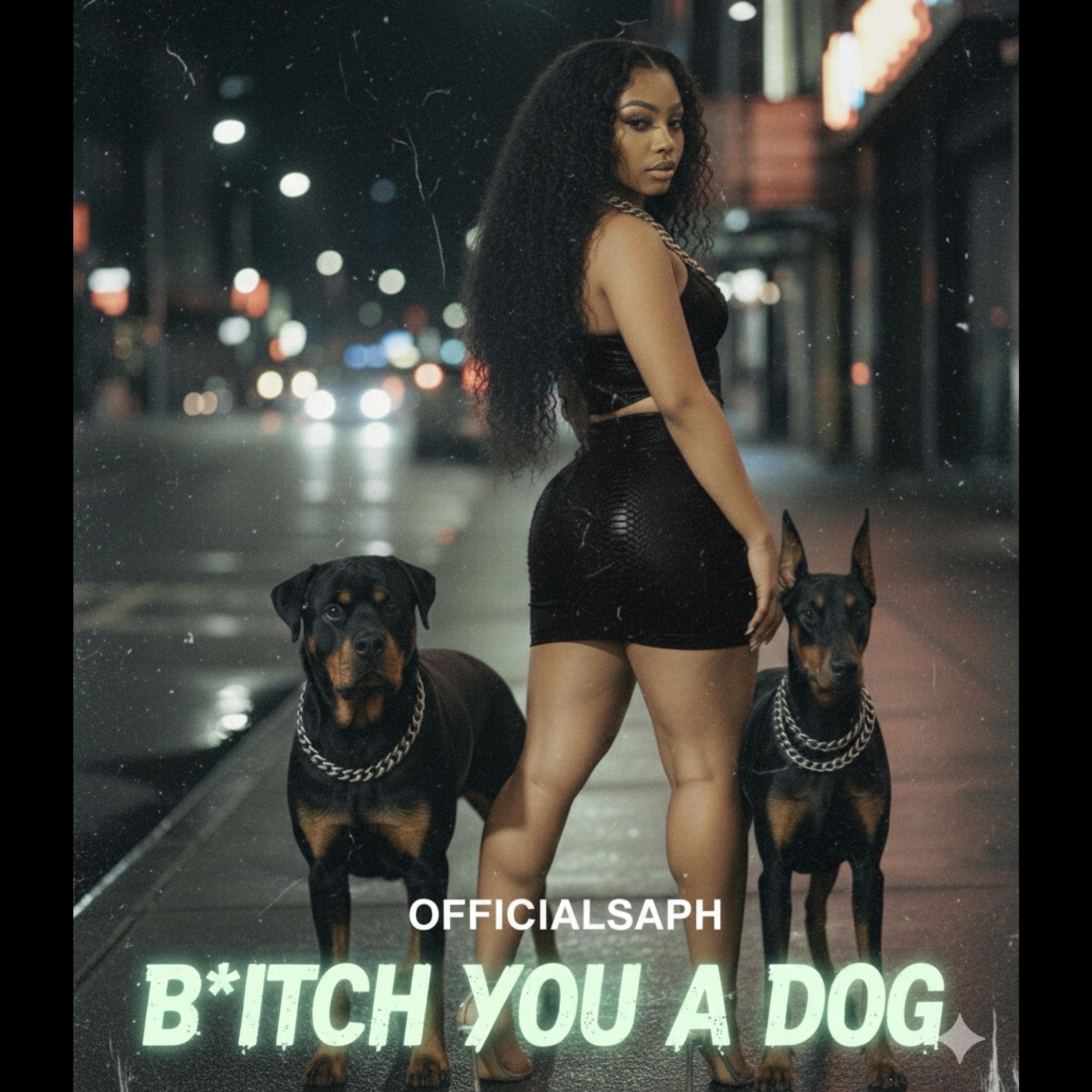 Bitch You A Dog artwork