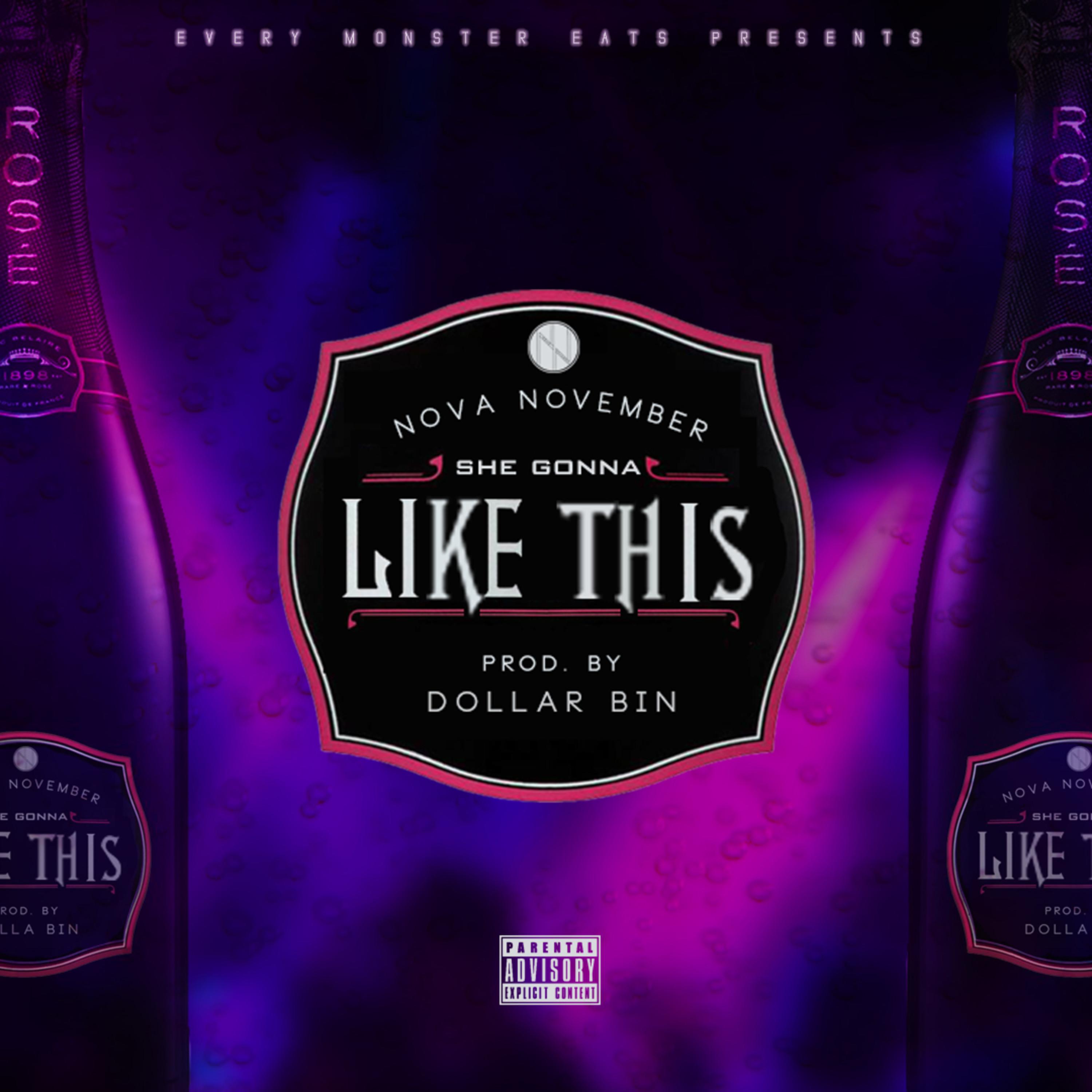 She Gonna Like This by Nova November cover art