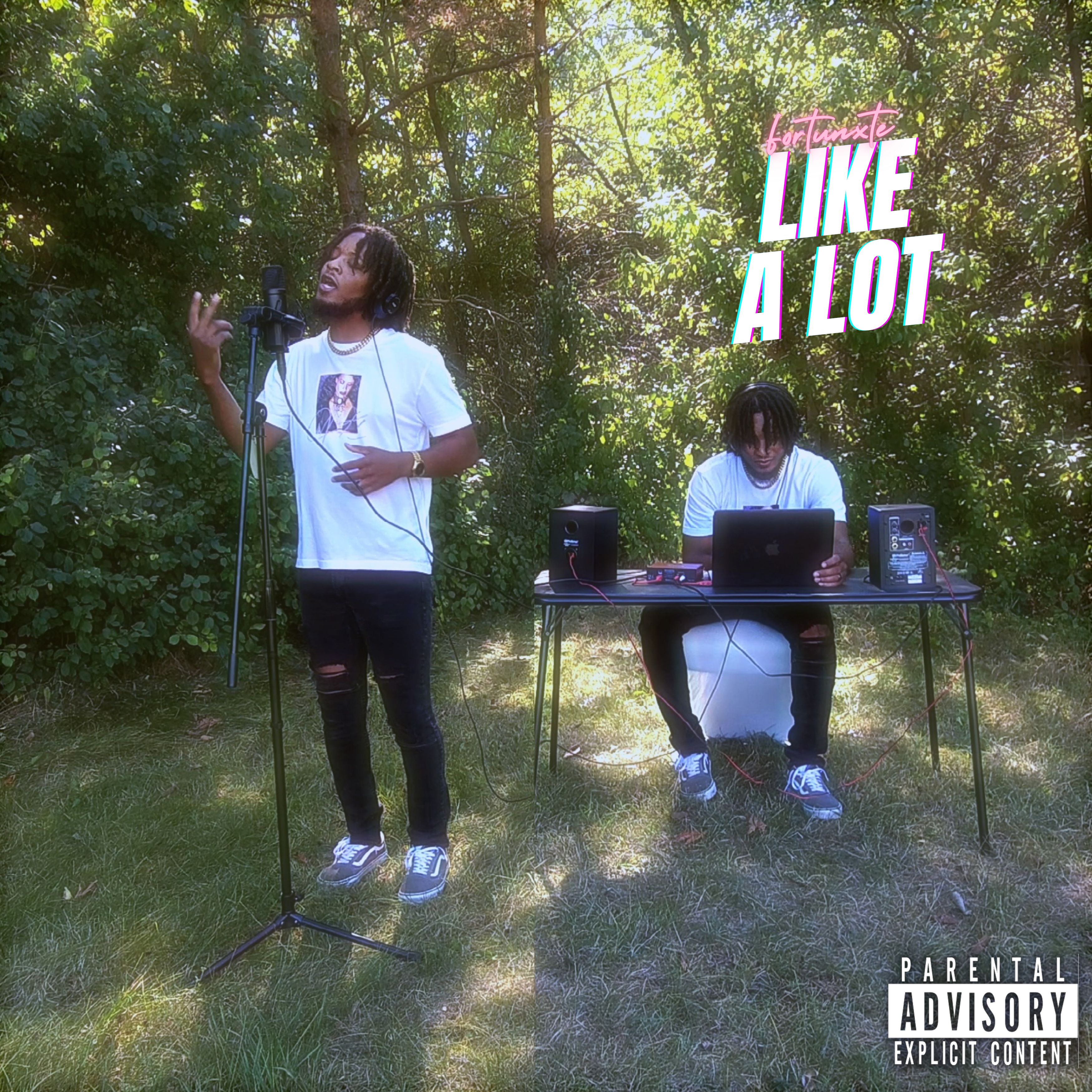 Like A Lot by Fortunxte cover art