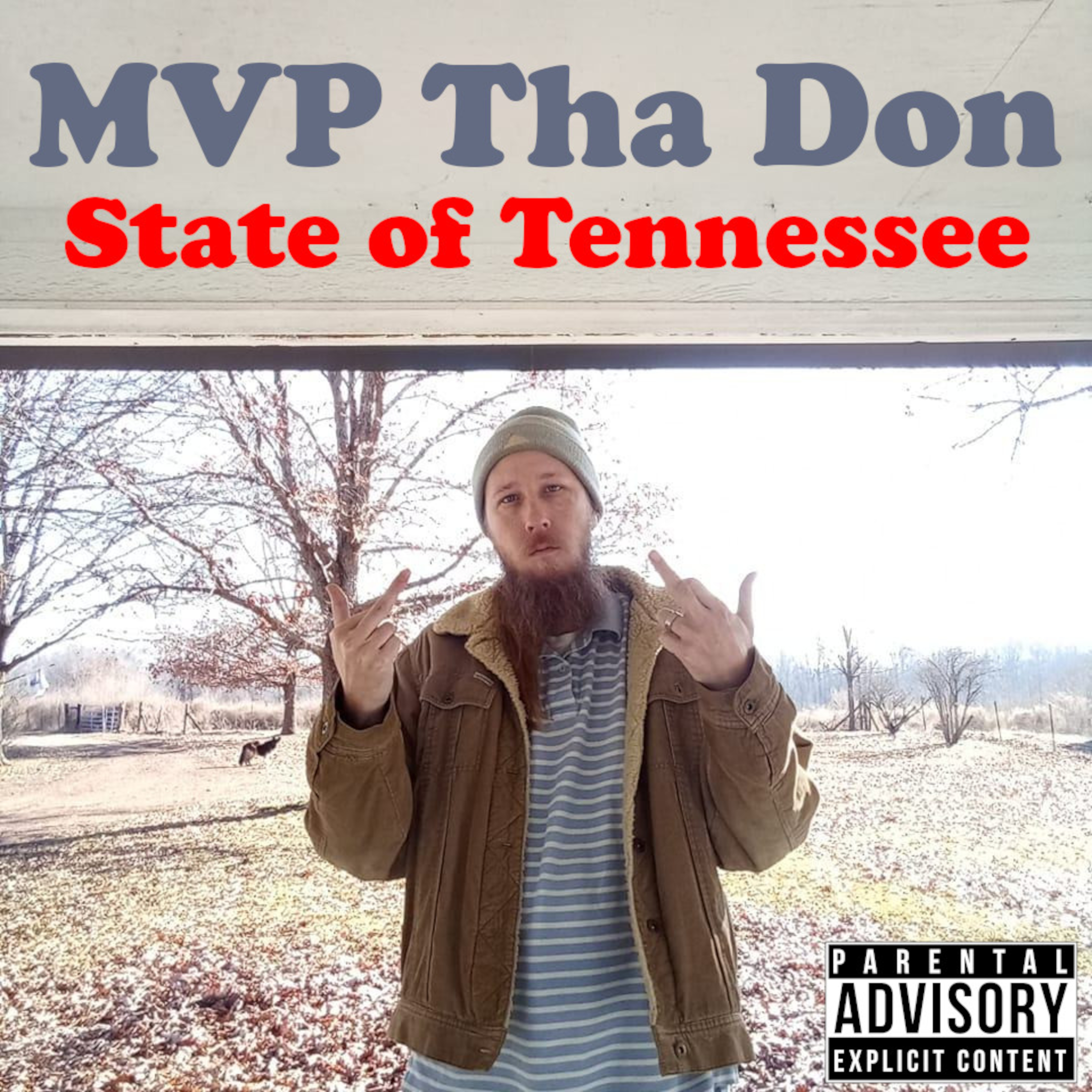 State of Tennessee artwork