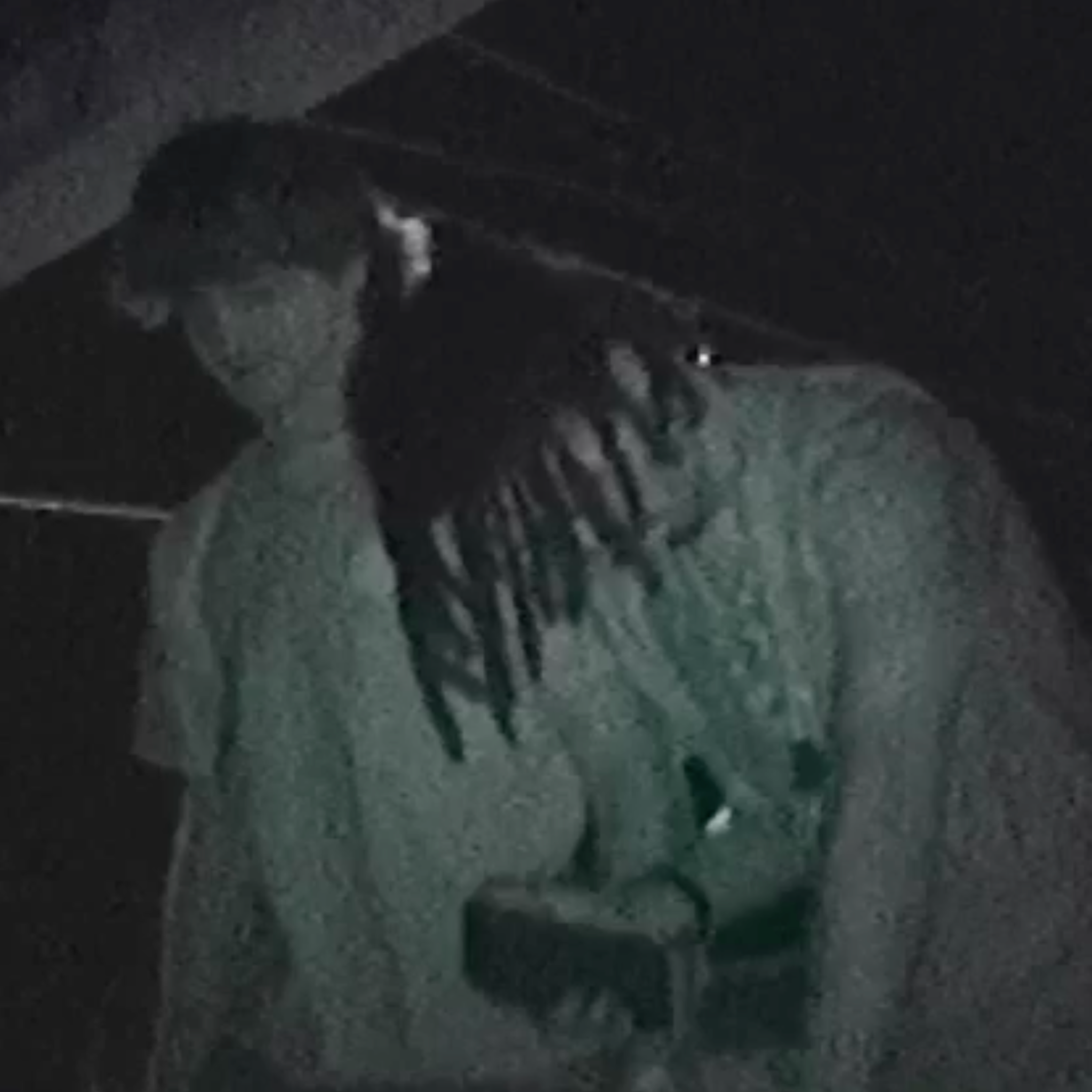 Chin & Chong artwork