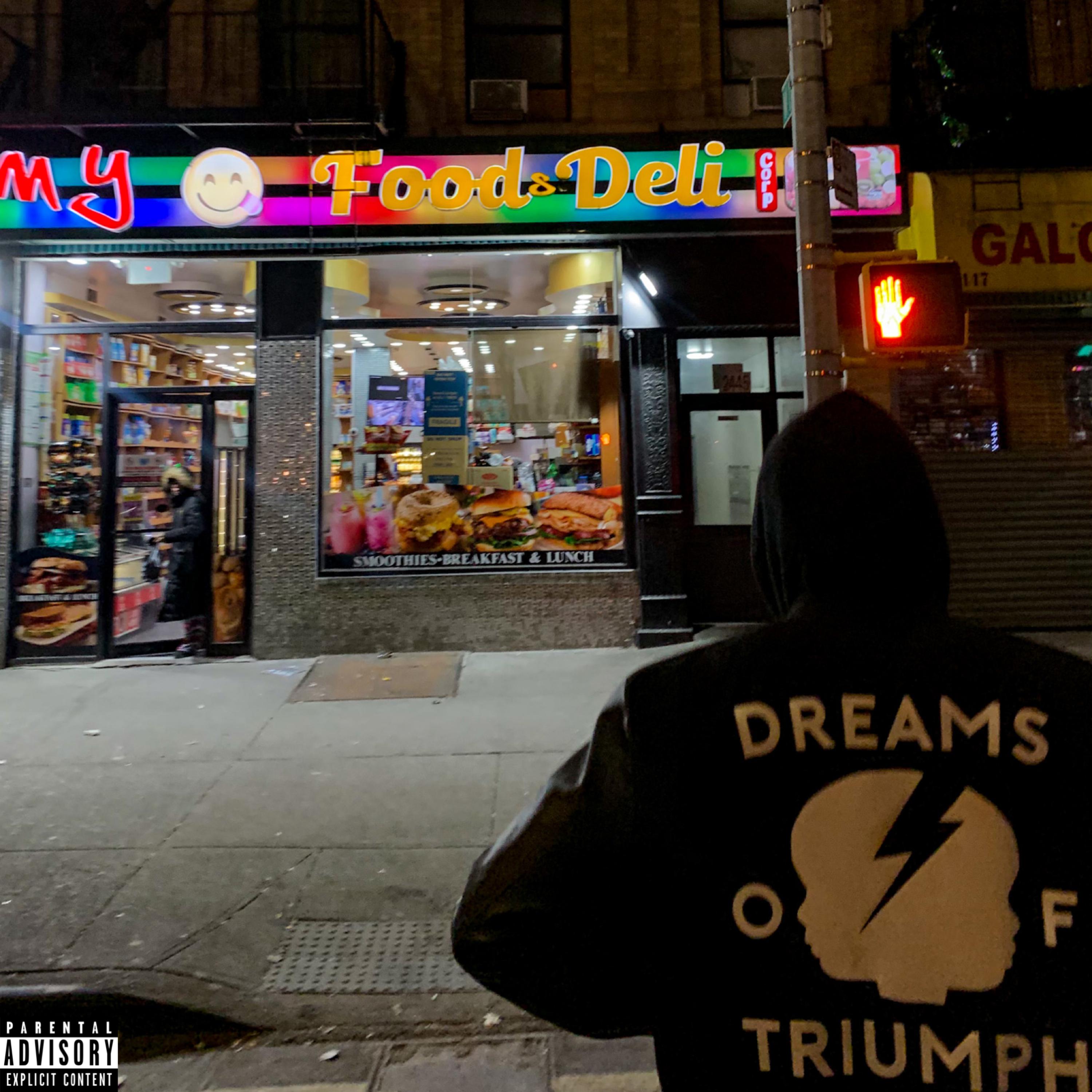 Lethal Shooter Freestyle artwork