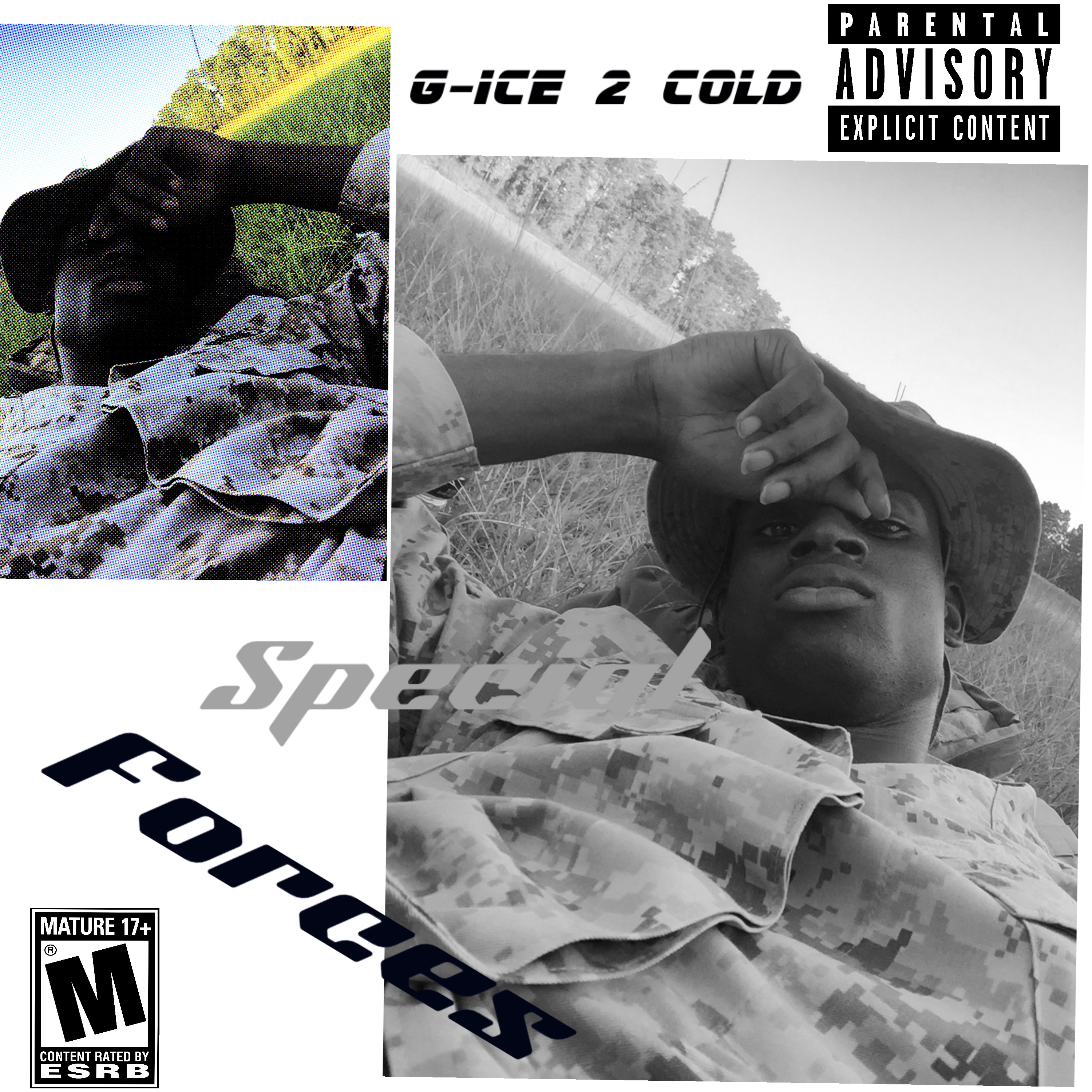 Special Forces Edition (SFE) artwork